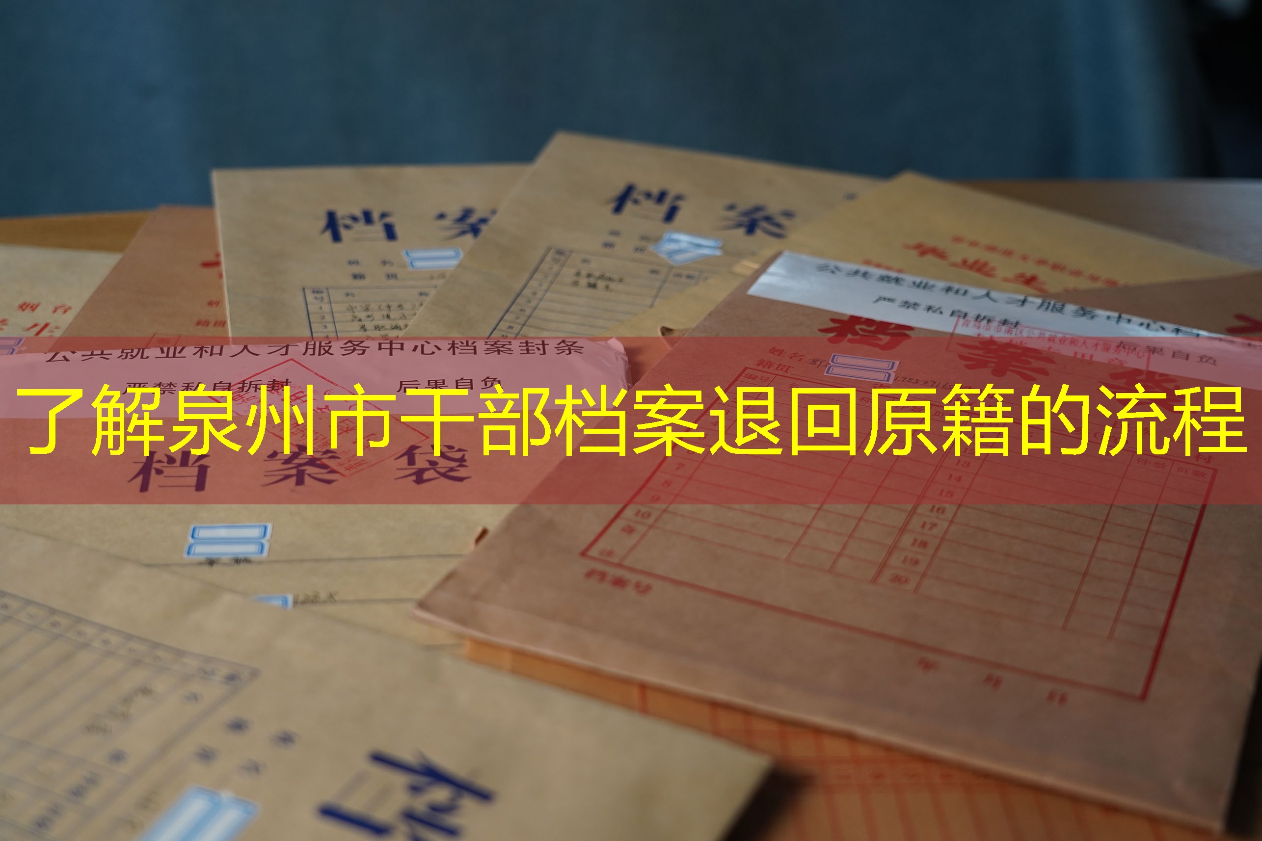 档案查询