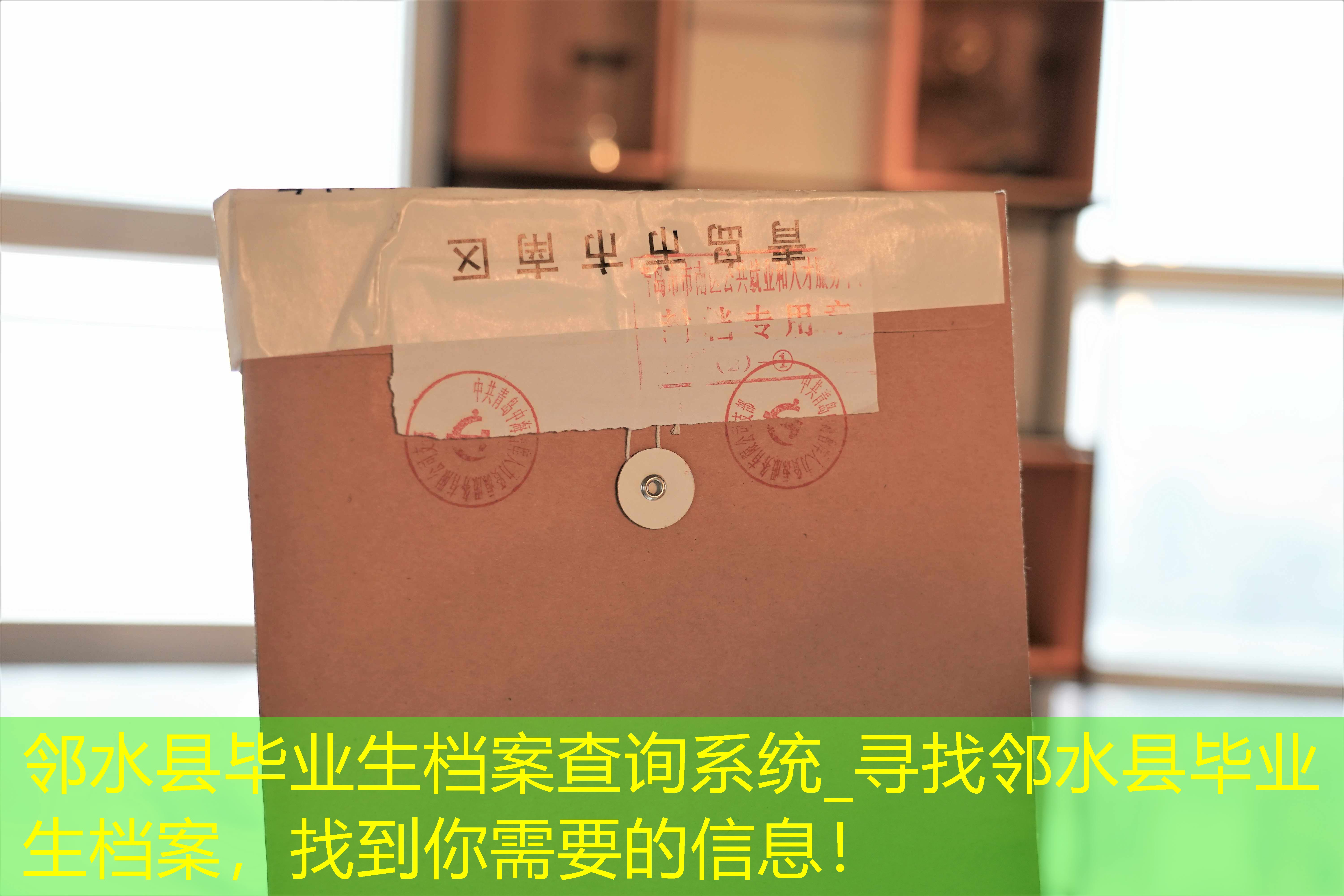 档案查询