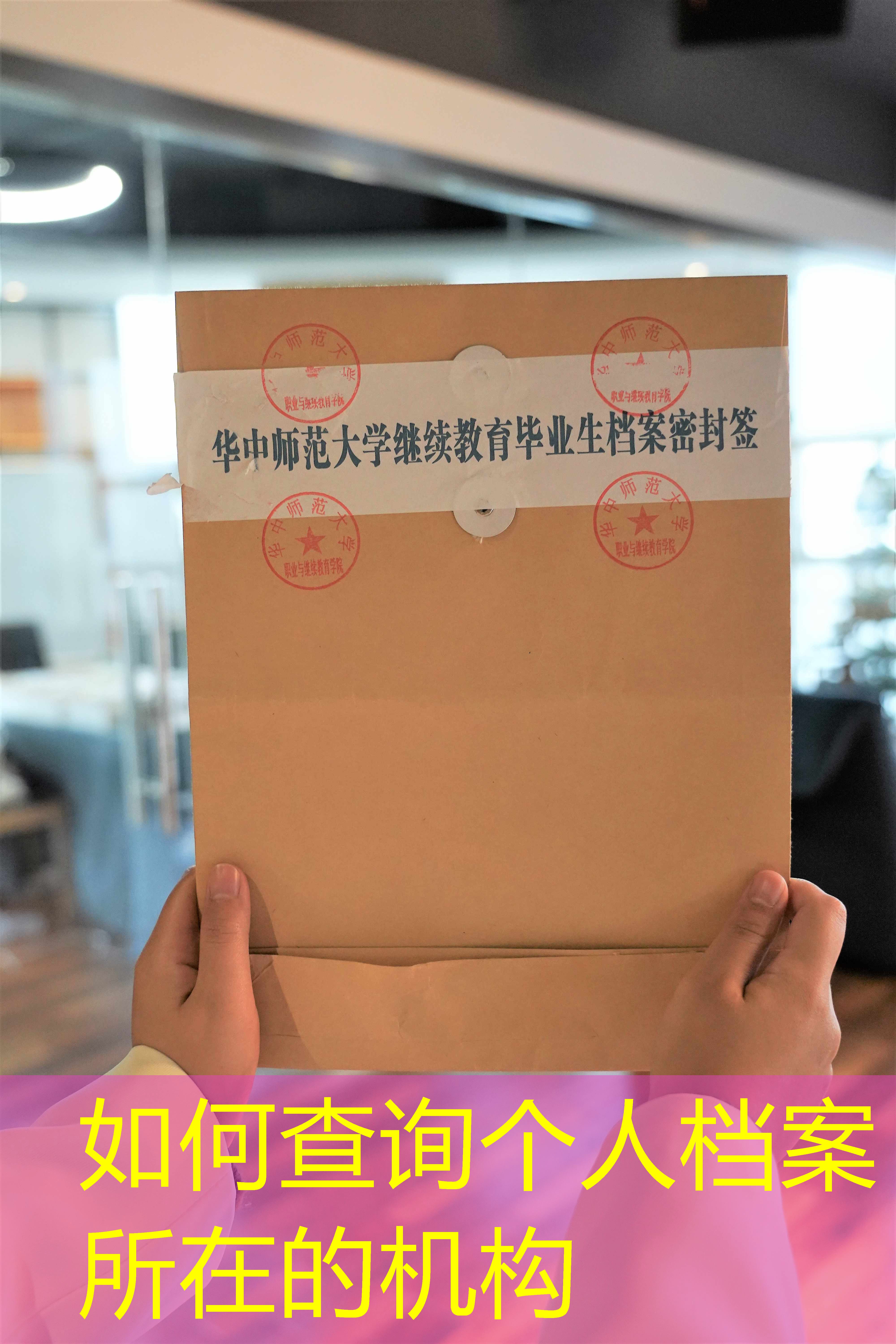 档案查询