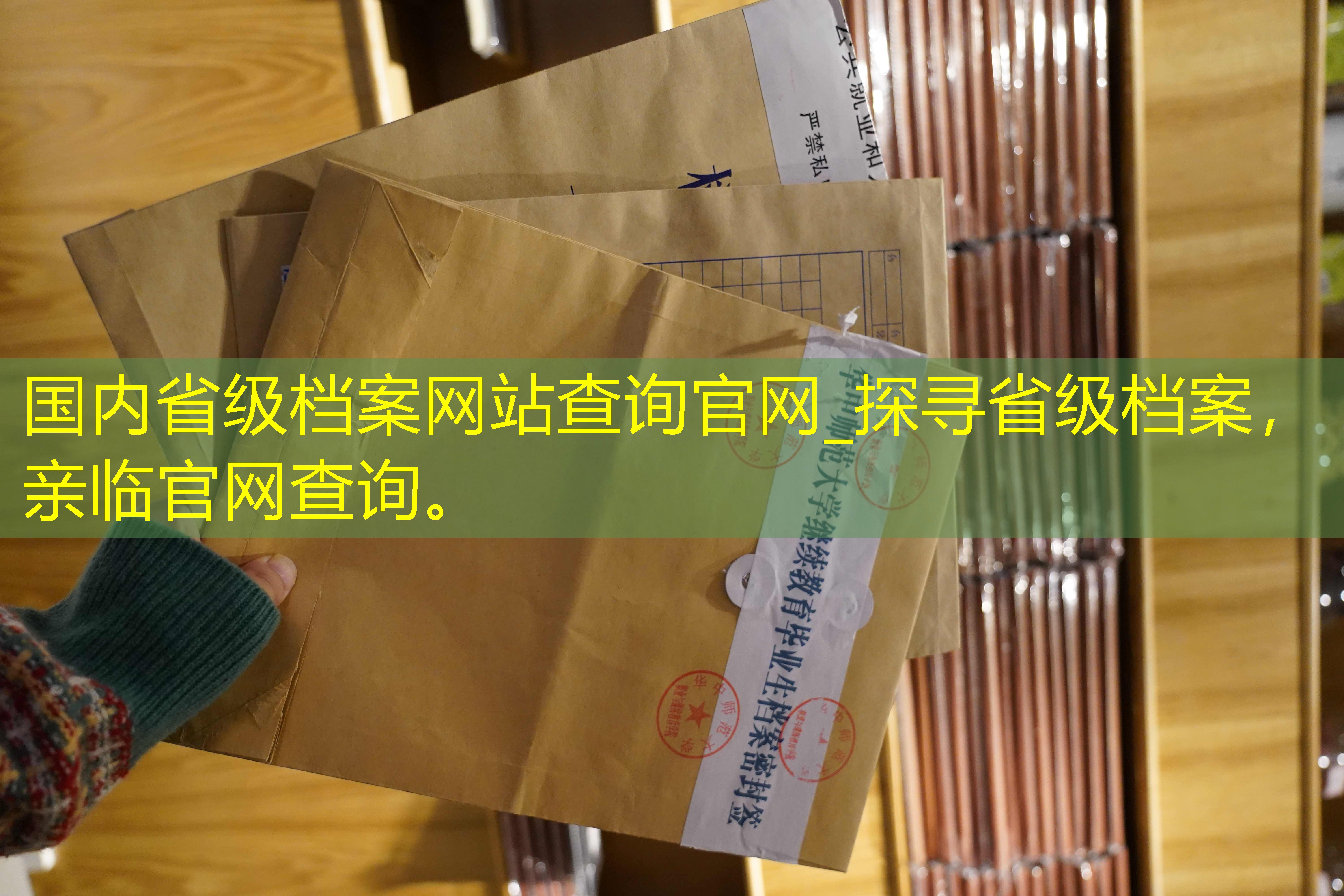 档案查询