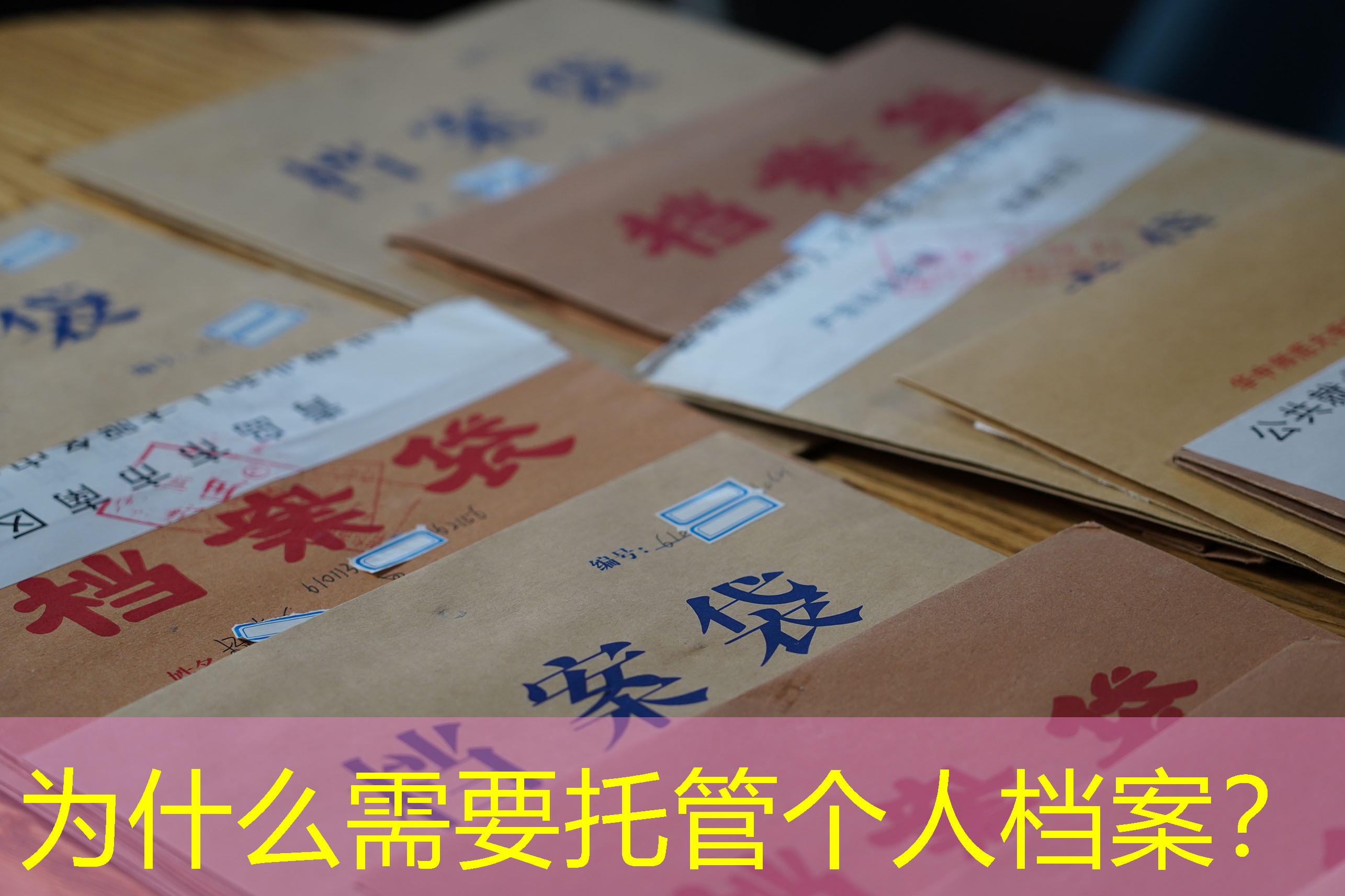 档案查询