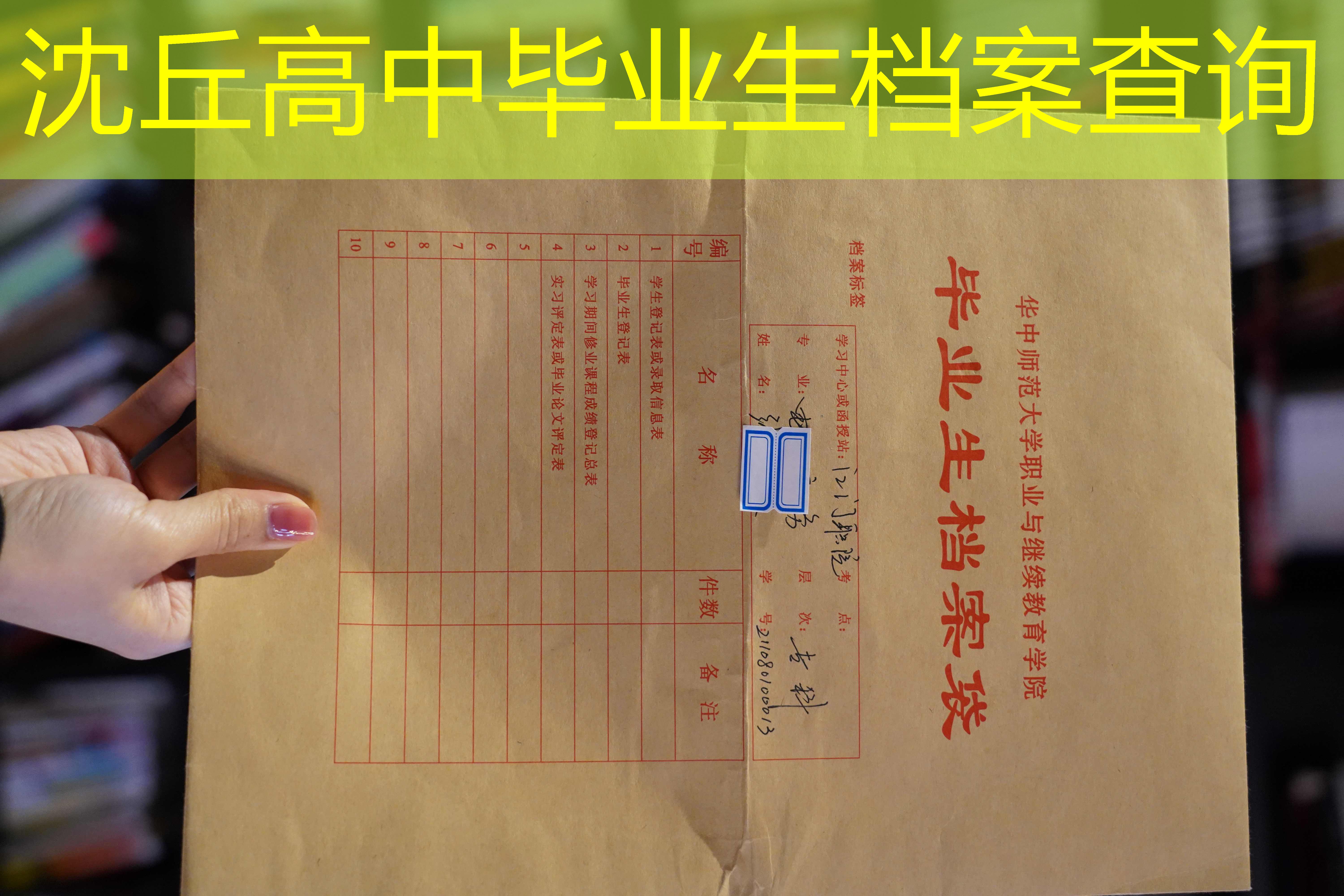 档案查询