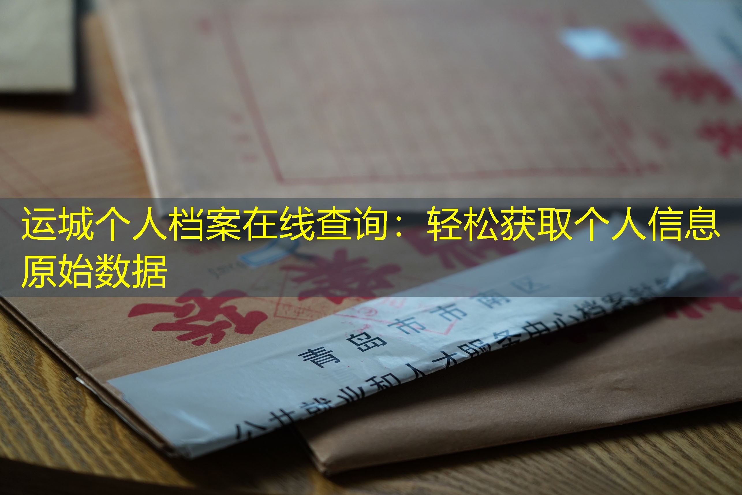 档案查询