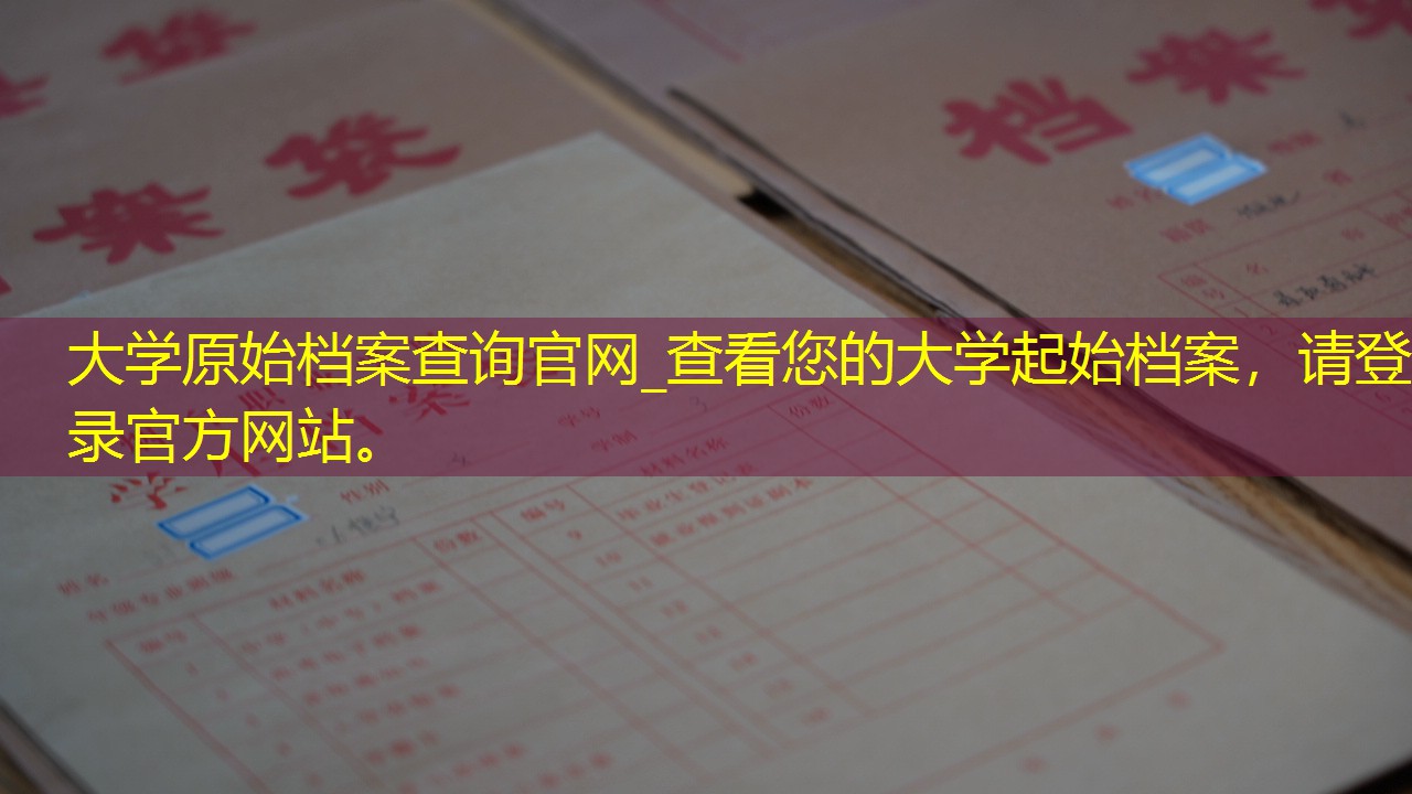 档案查询