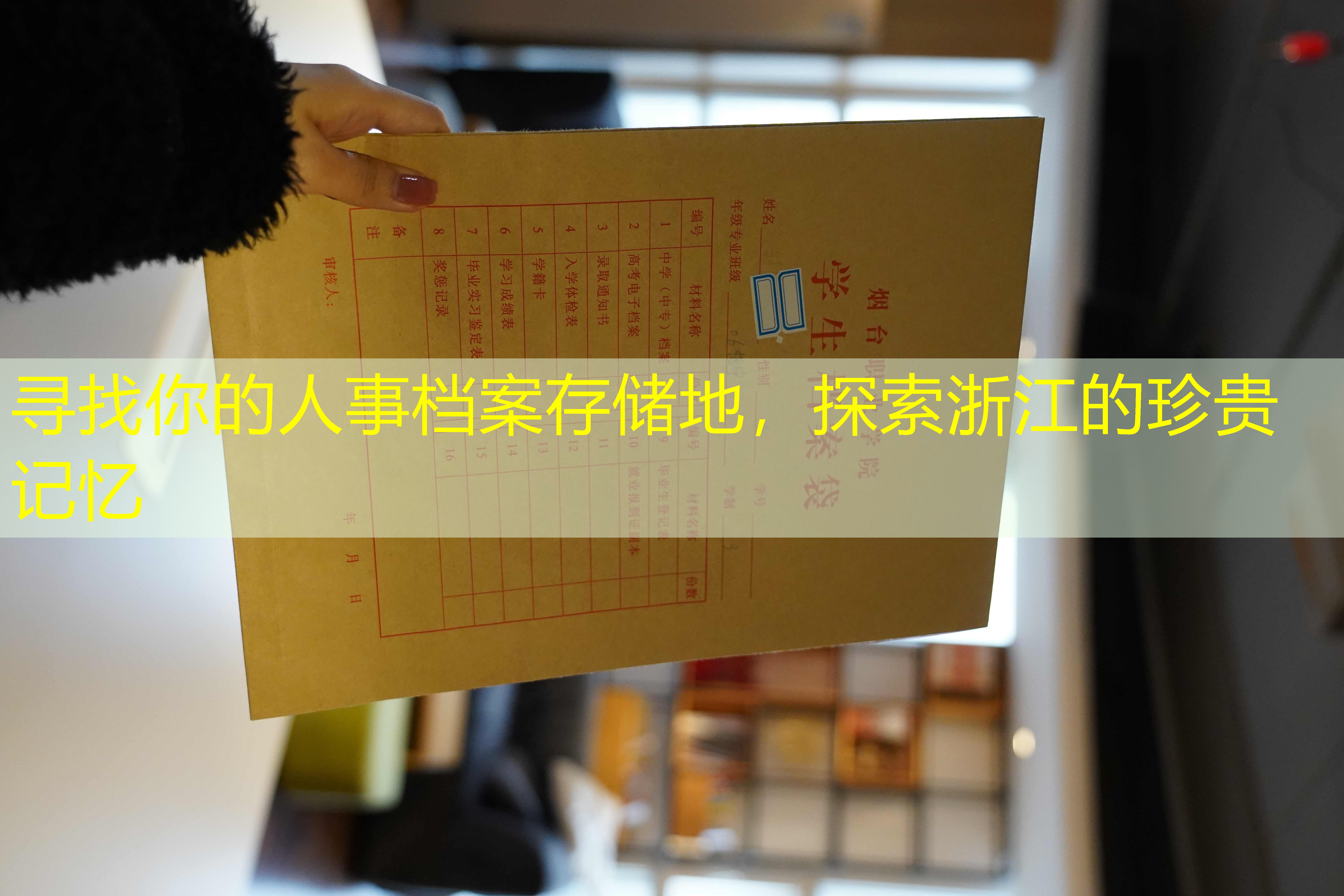 档案查询