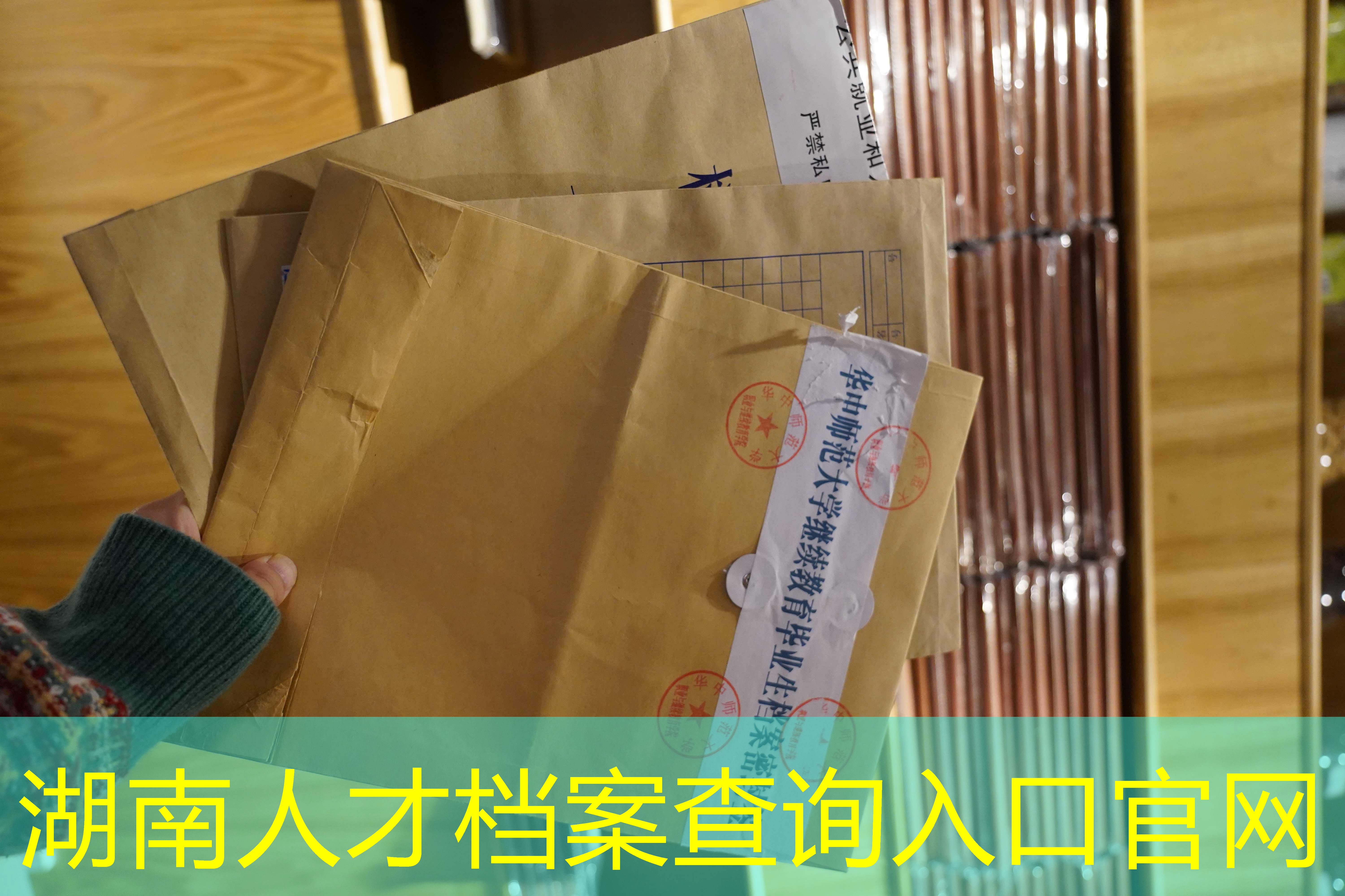 档案查询