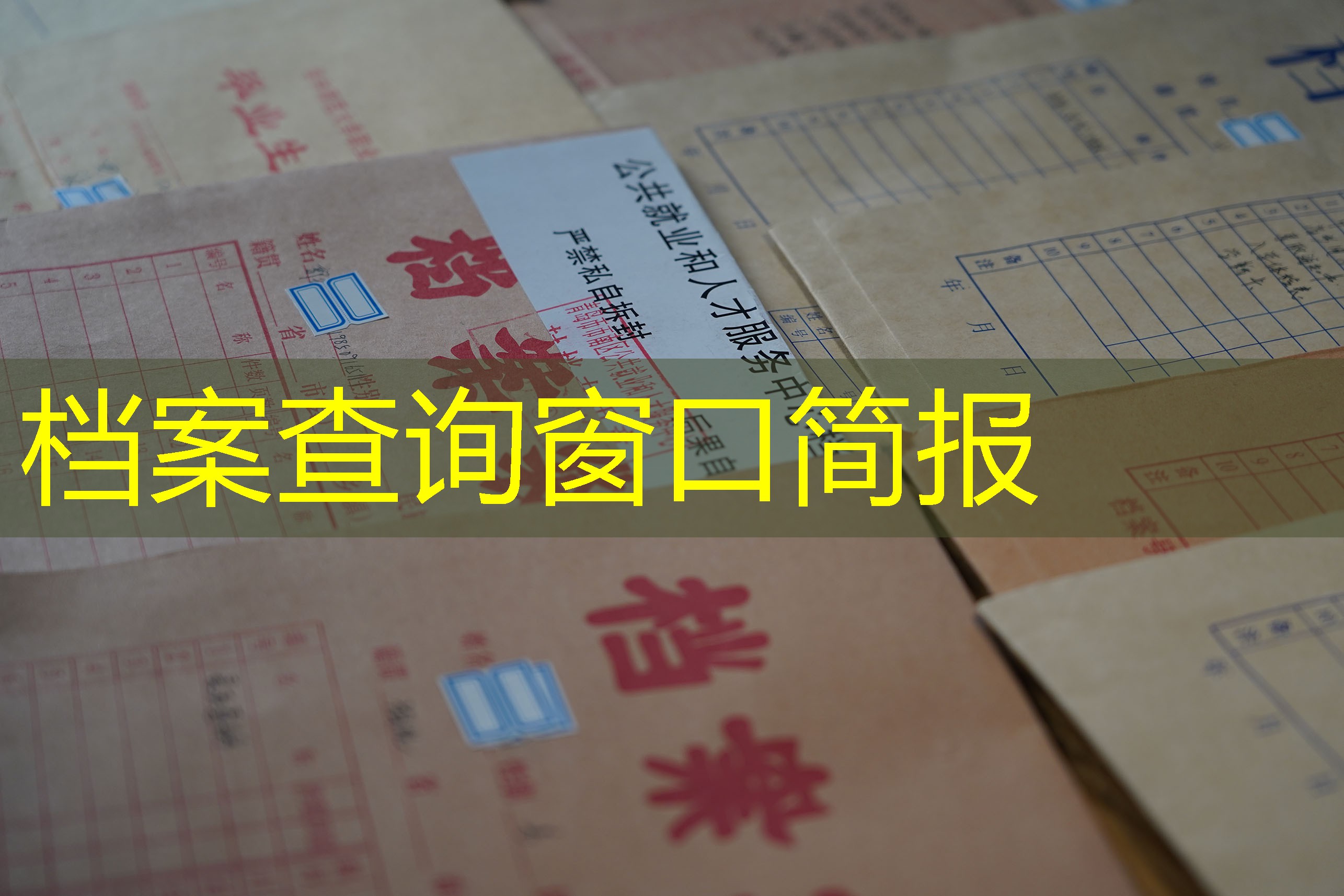 档案查询