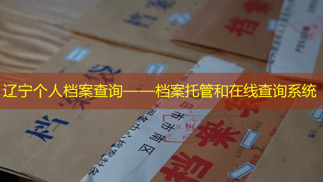 档案查询