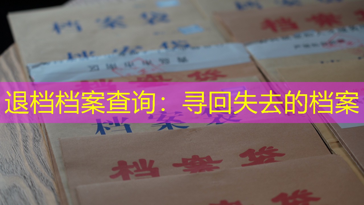 档案查询