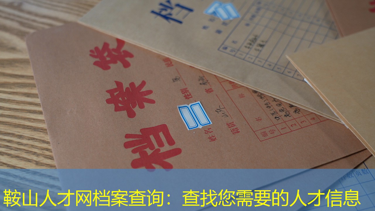 档案查询