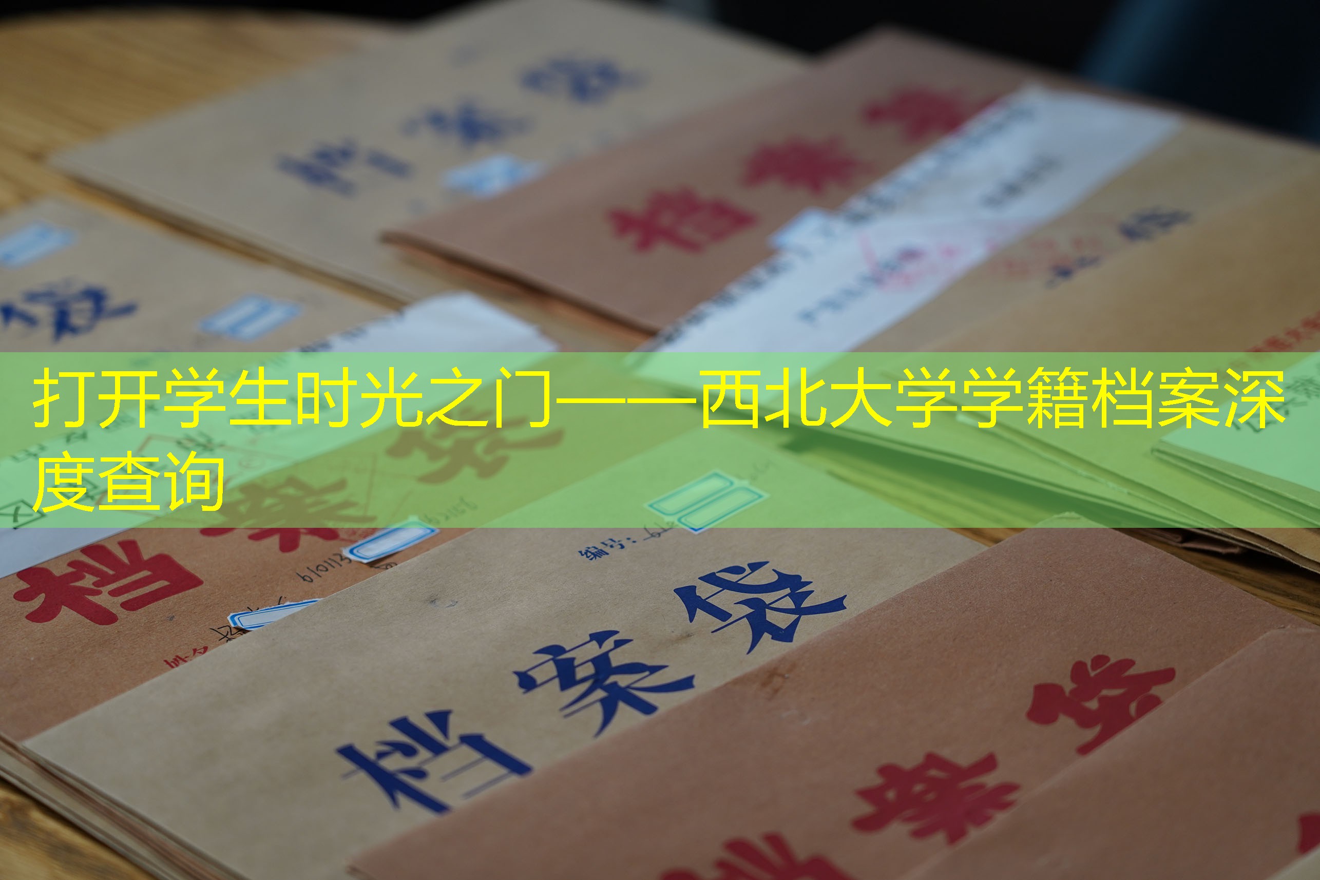 档案查询