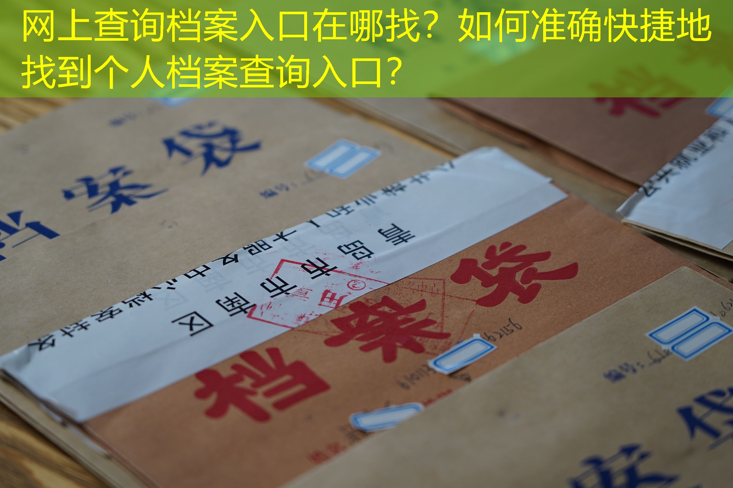 档案查询