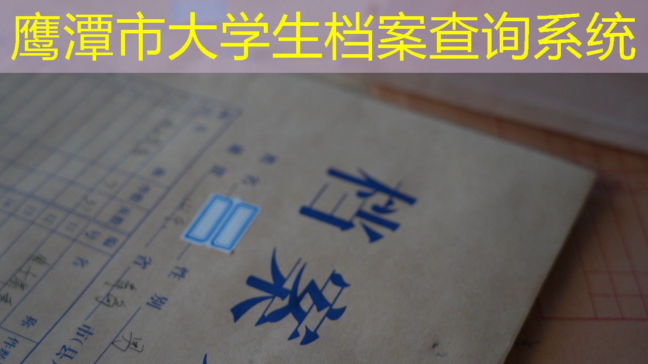档案查询