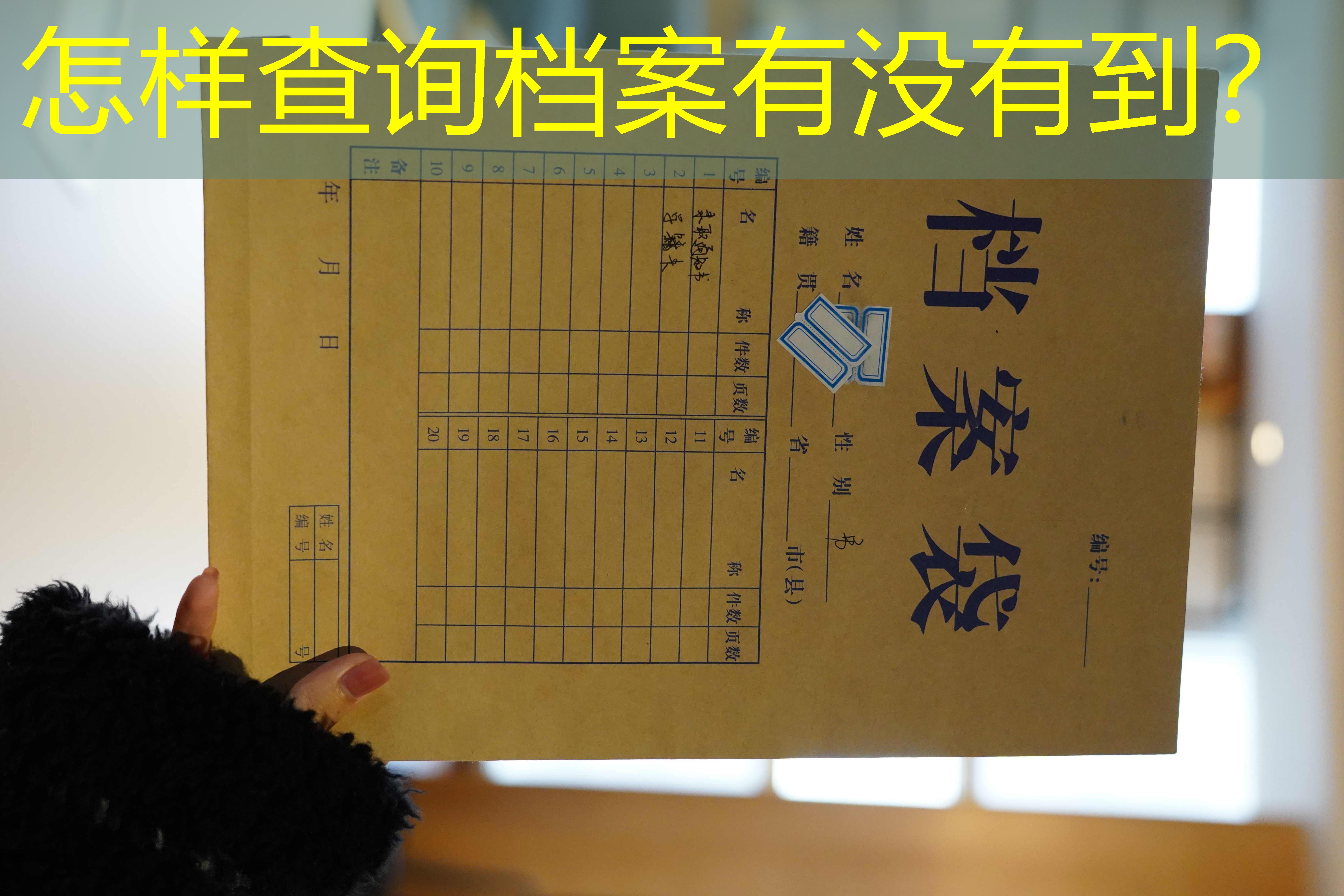 档案查询