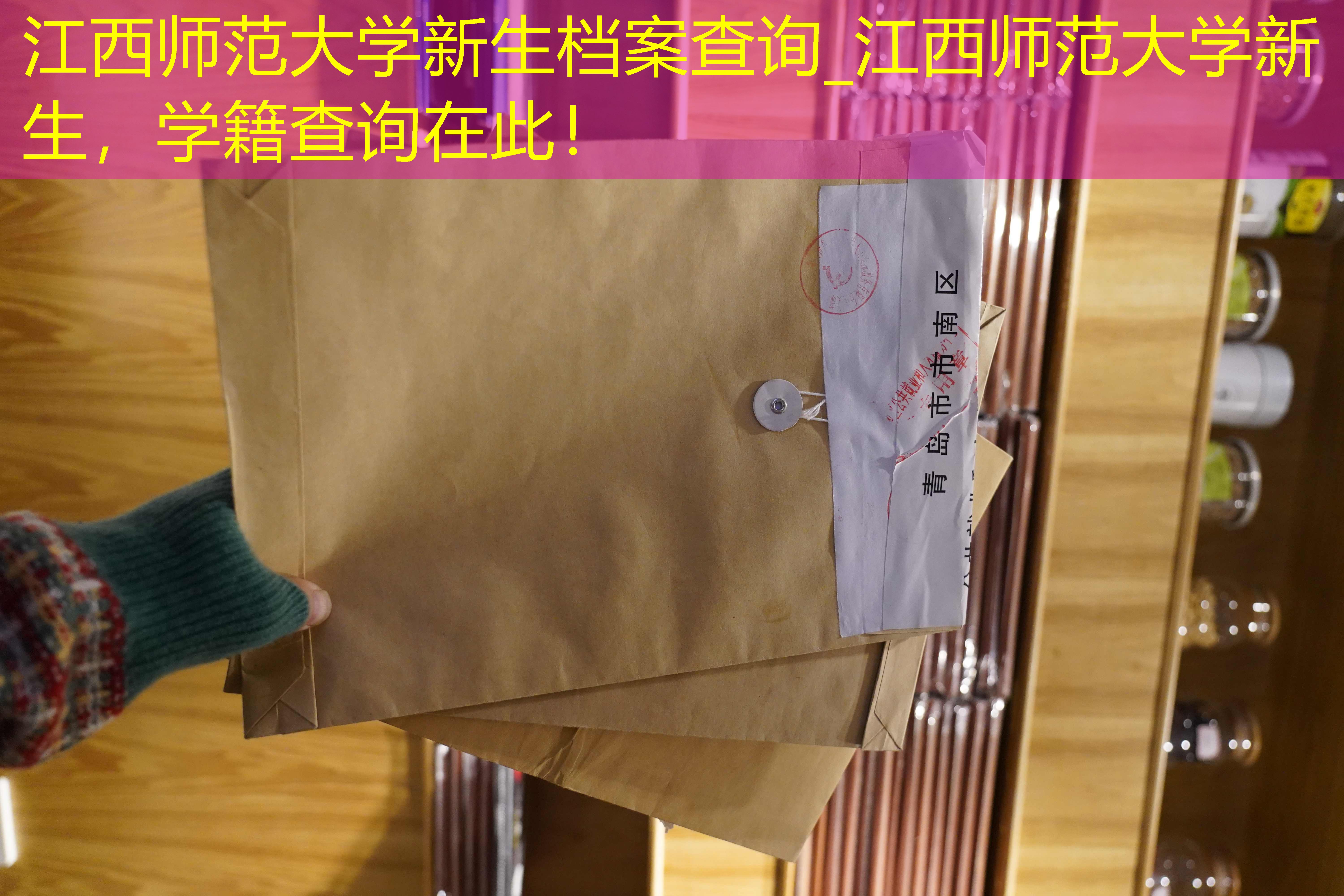 档案查询