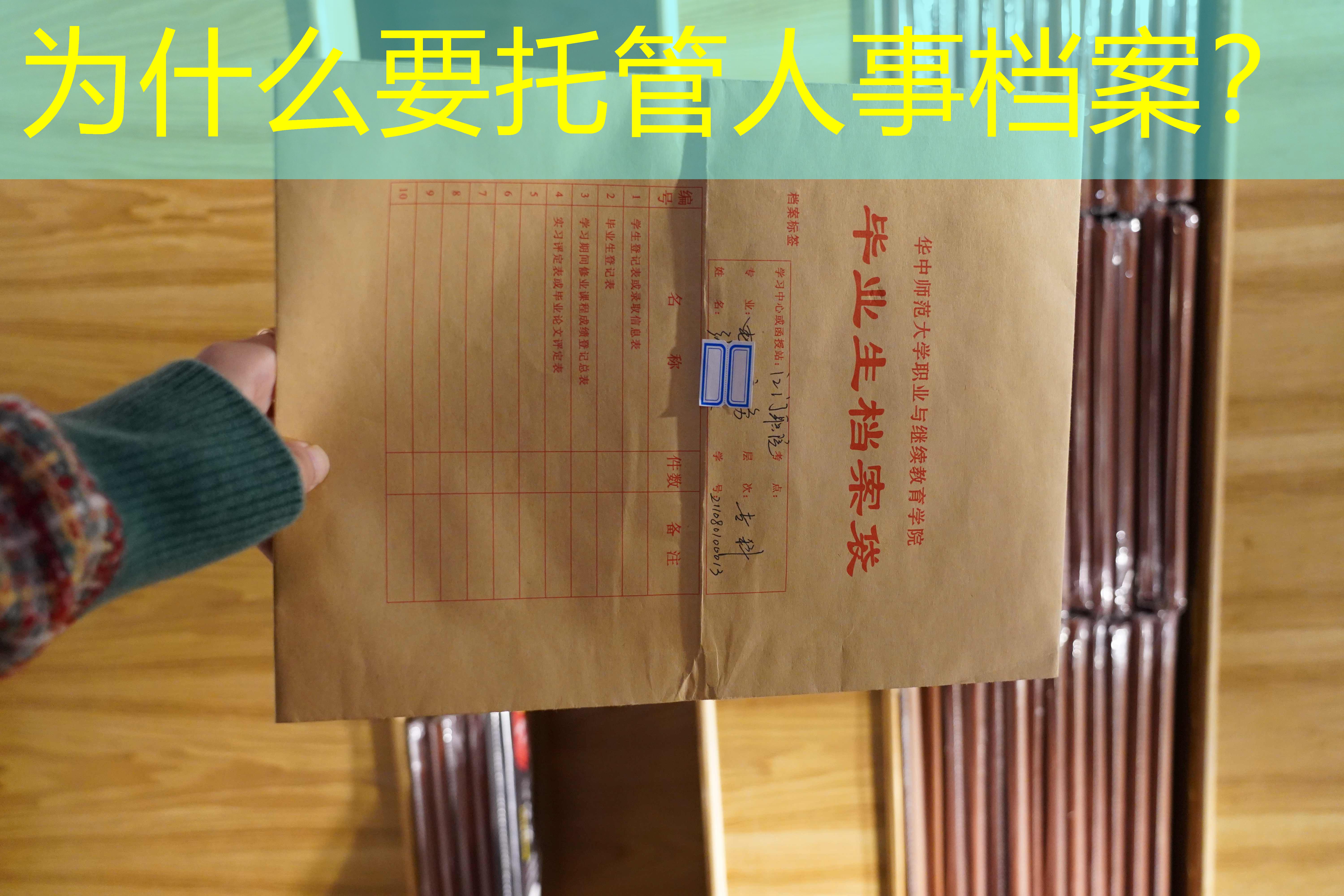 档案查询