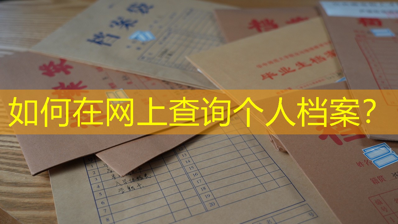 档案查询