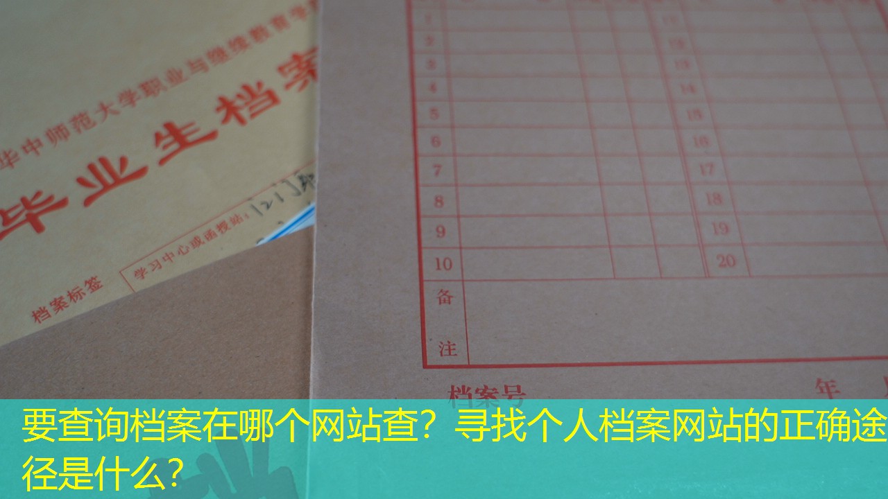 档案查询