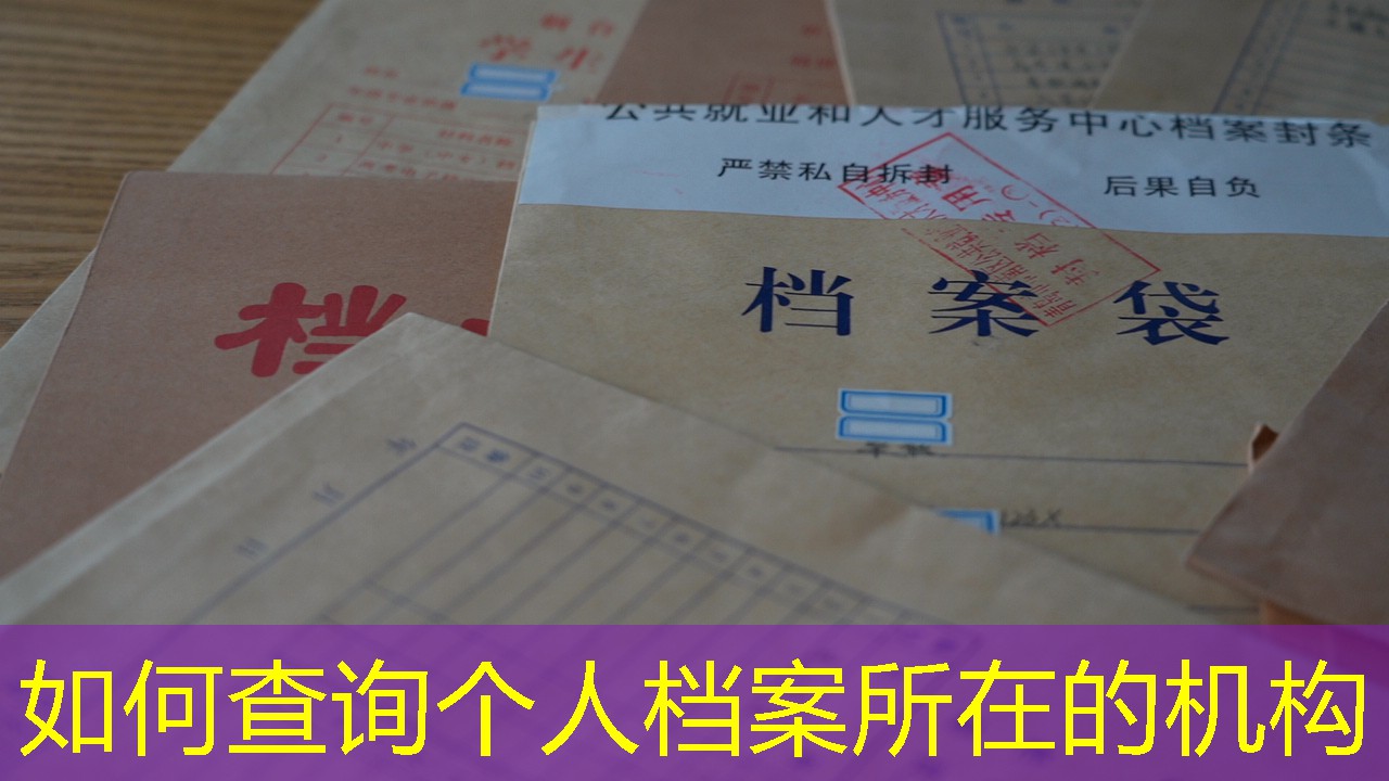 档案查询