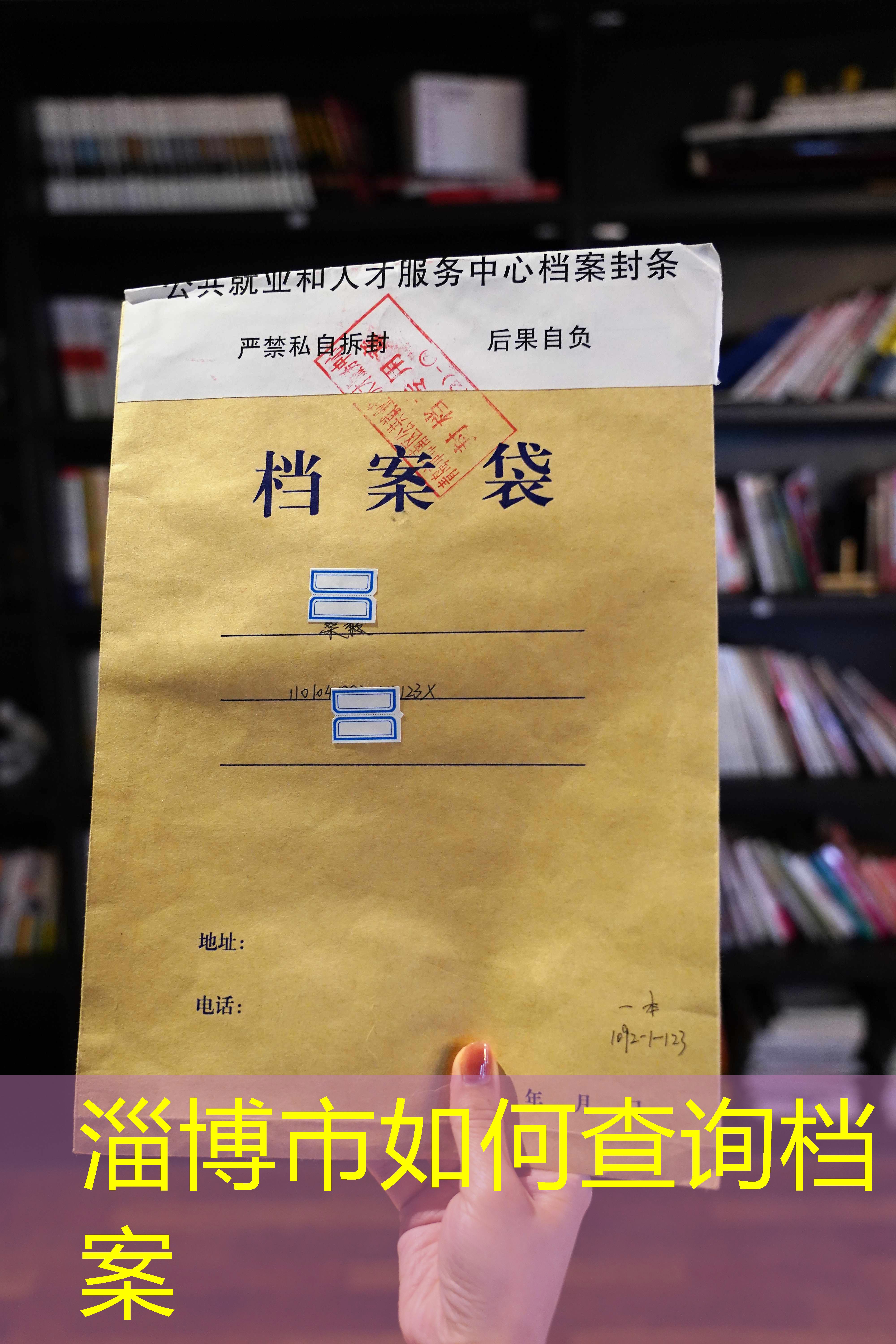 档案查询