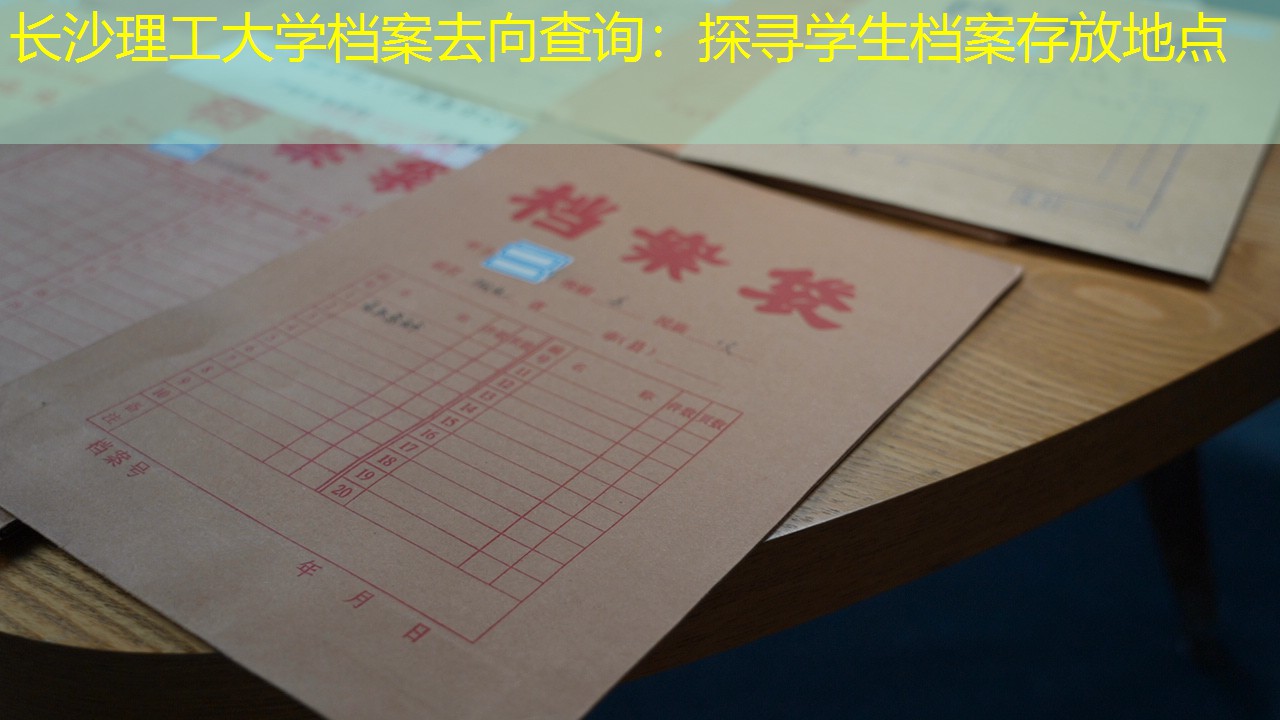 档案查询
