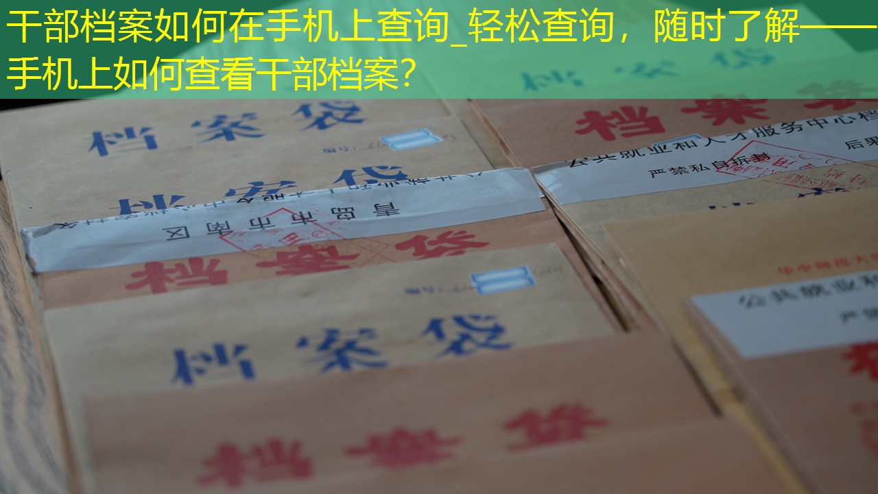 档案查询