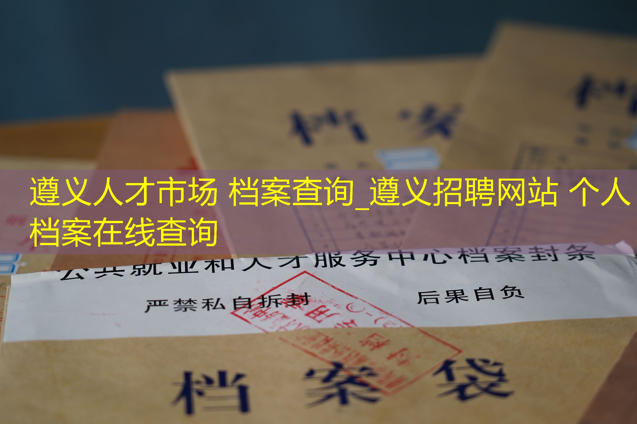 档案查询