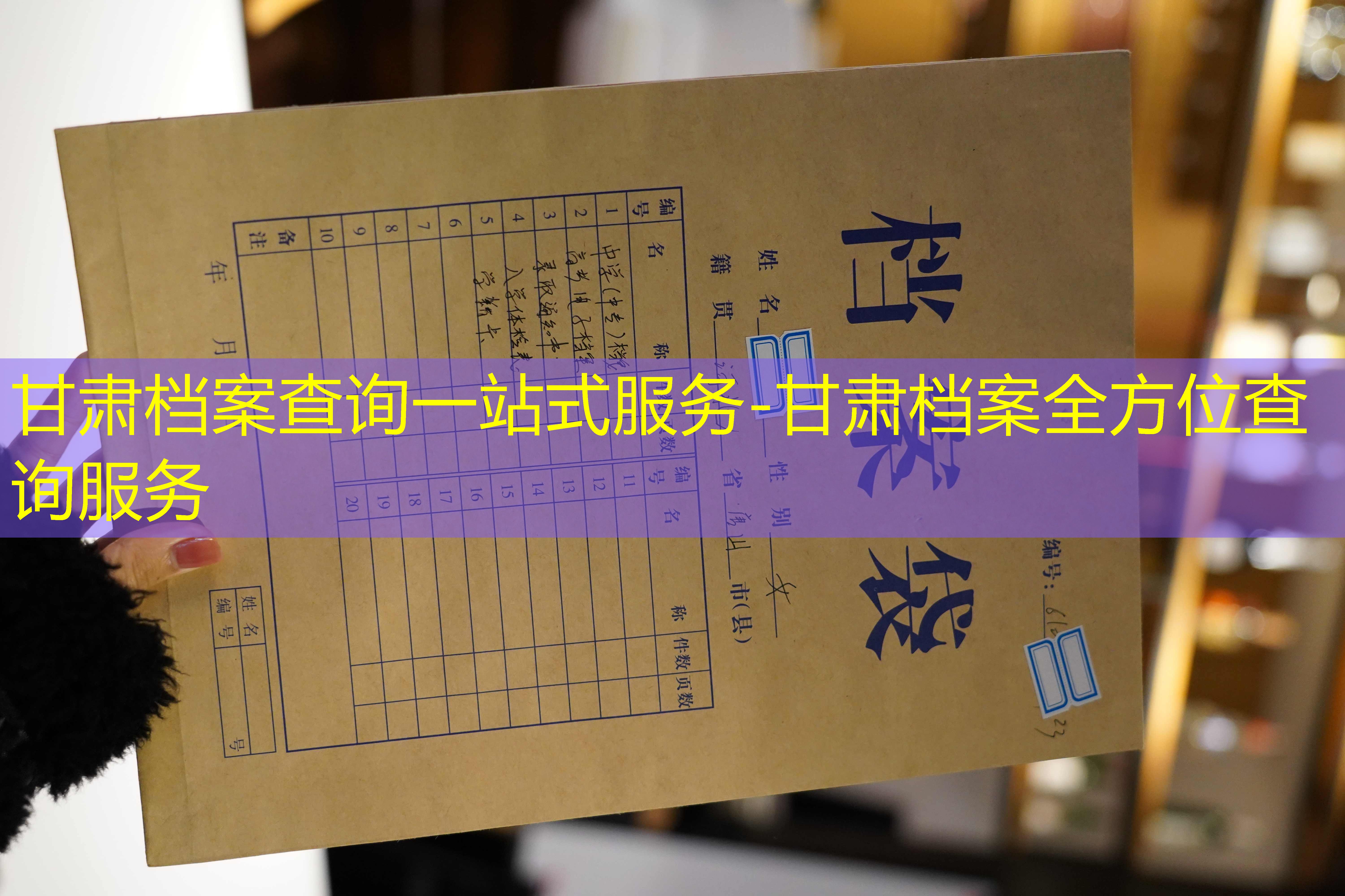 档案查询