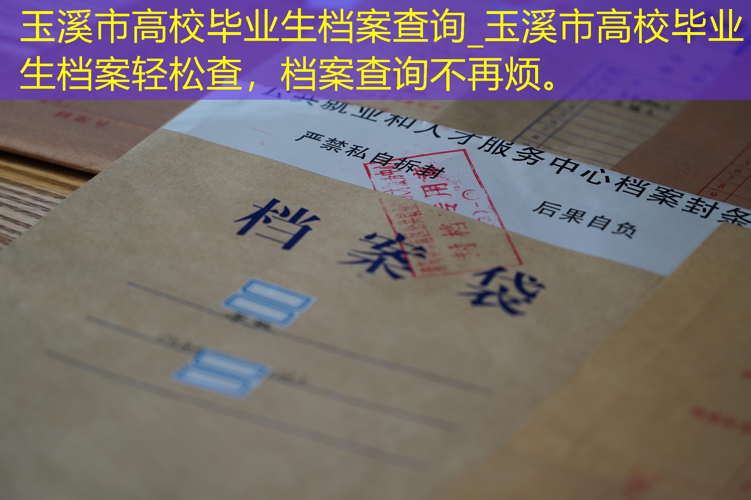 档案查询