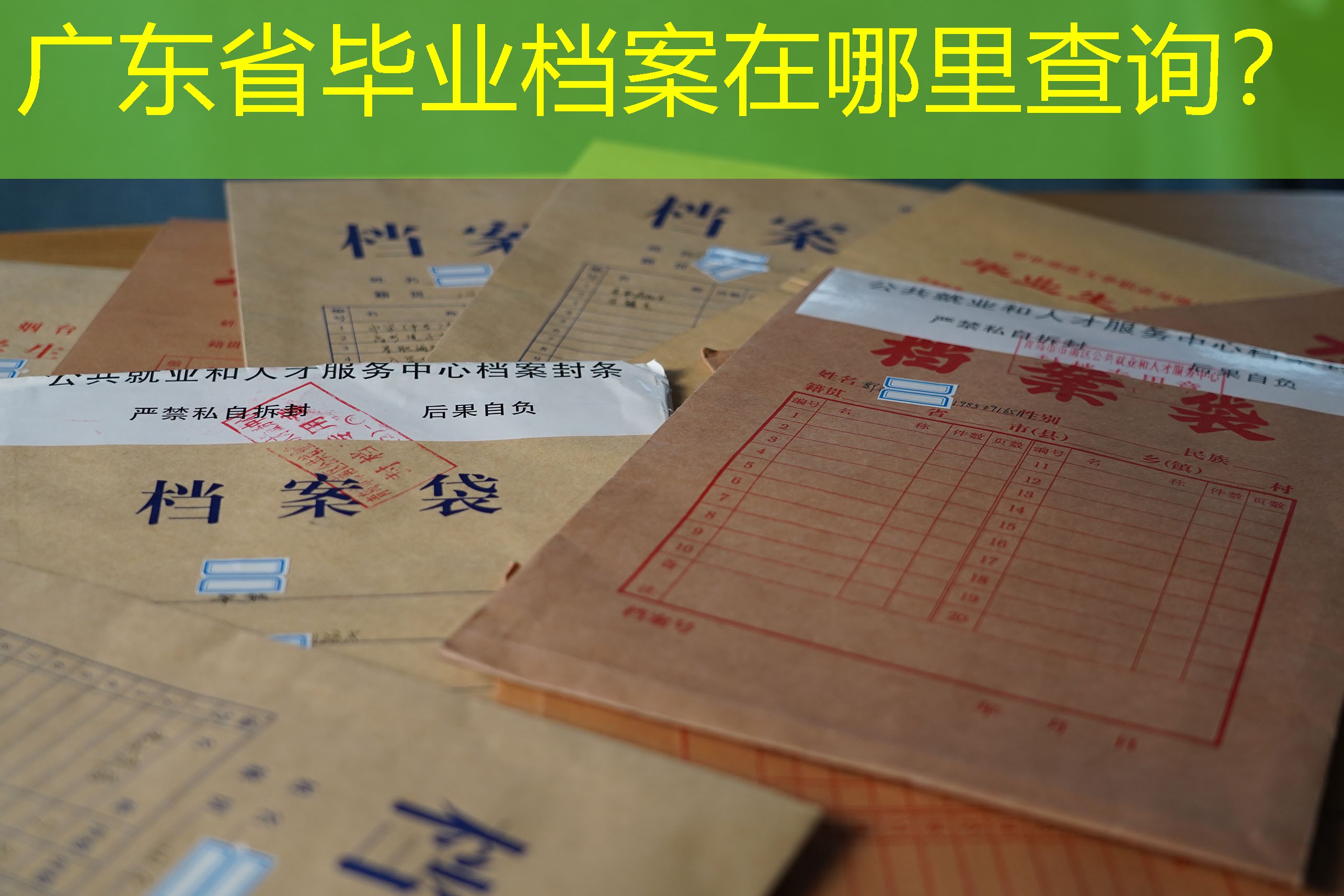 档案查询