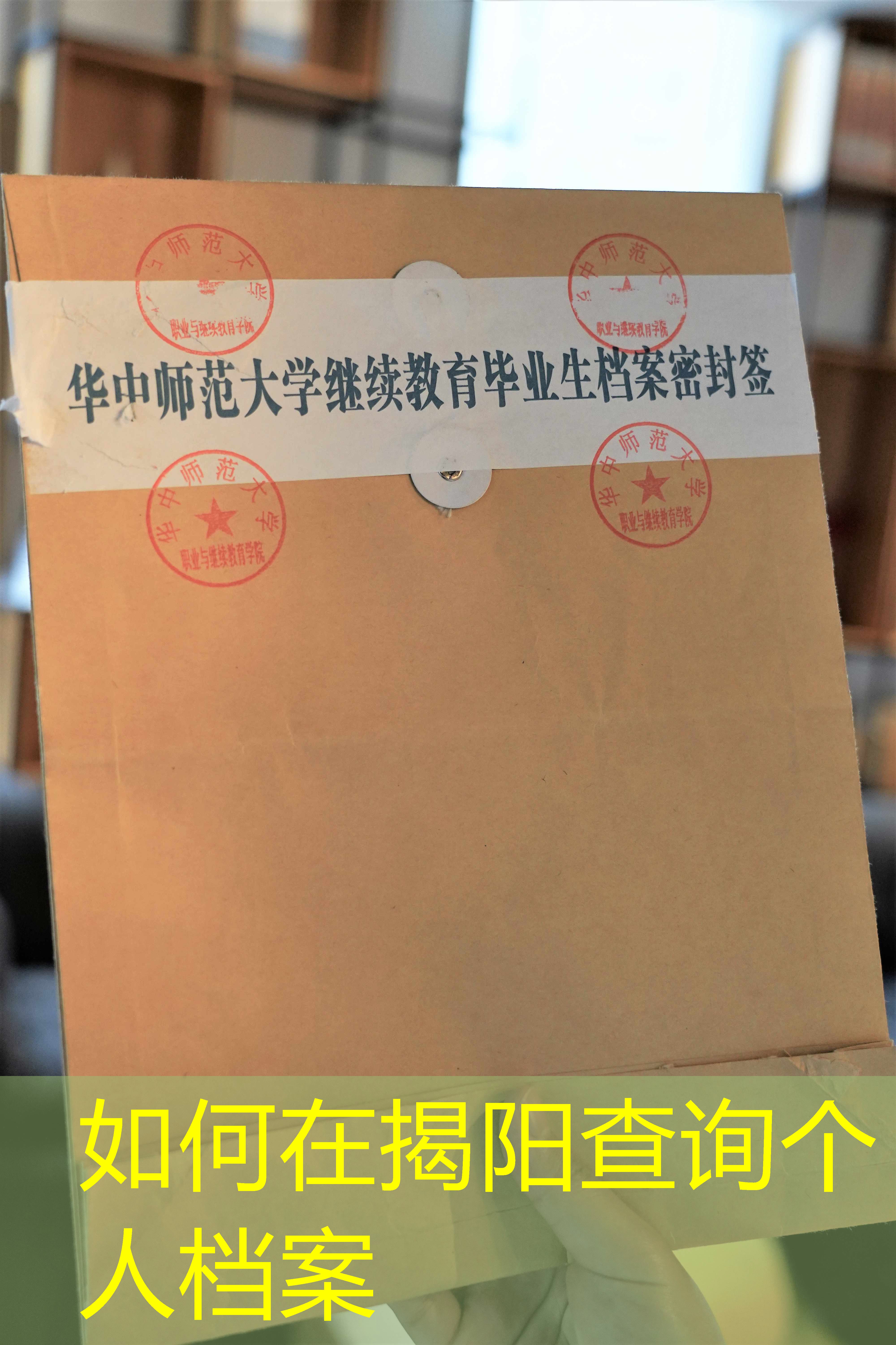 档案查询
