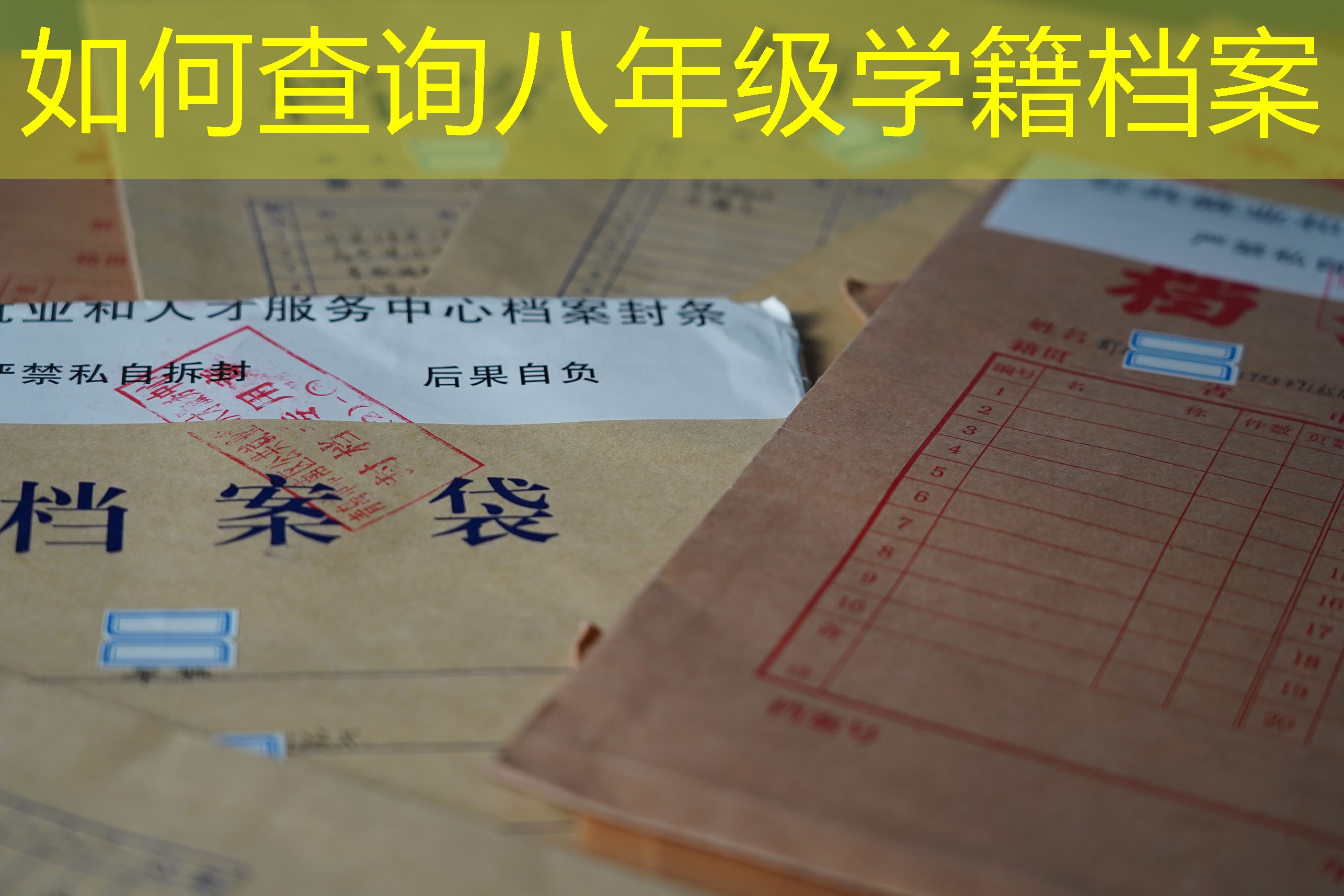 档案查询