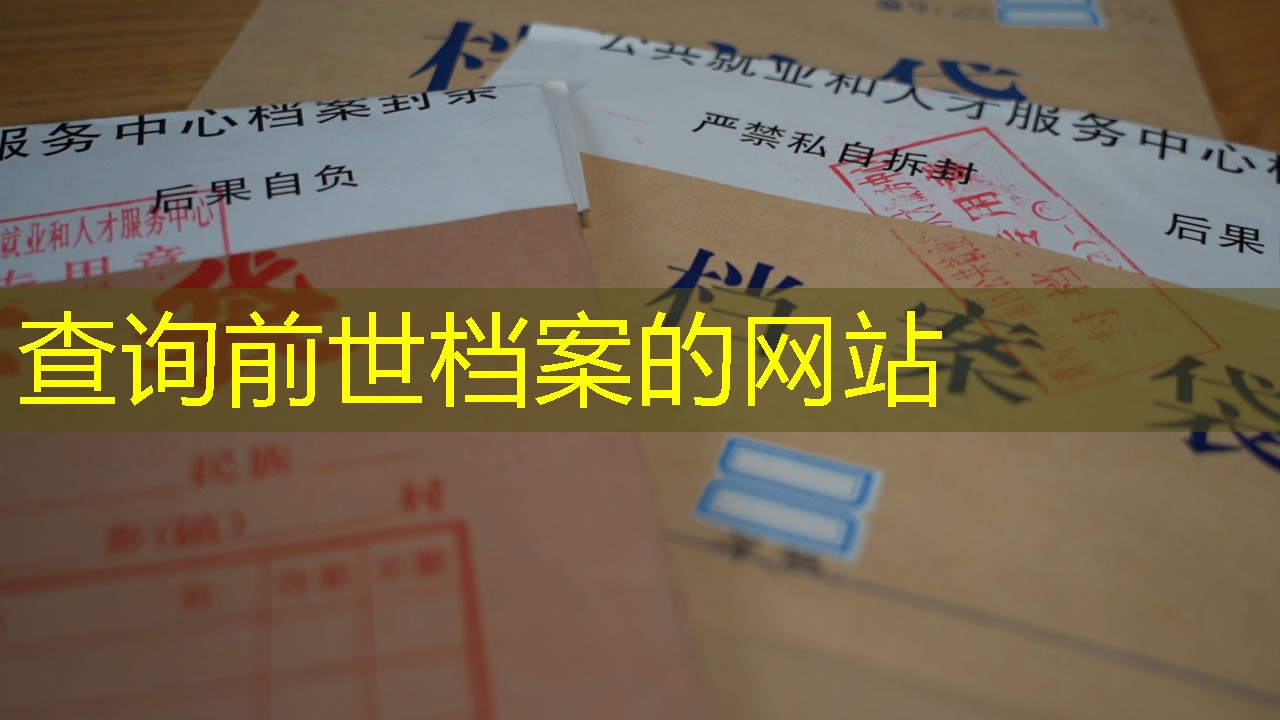 档案查询