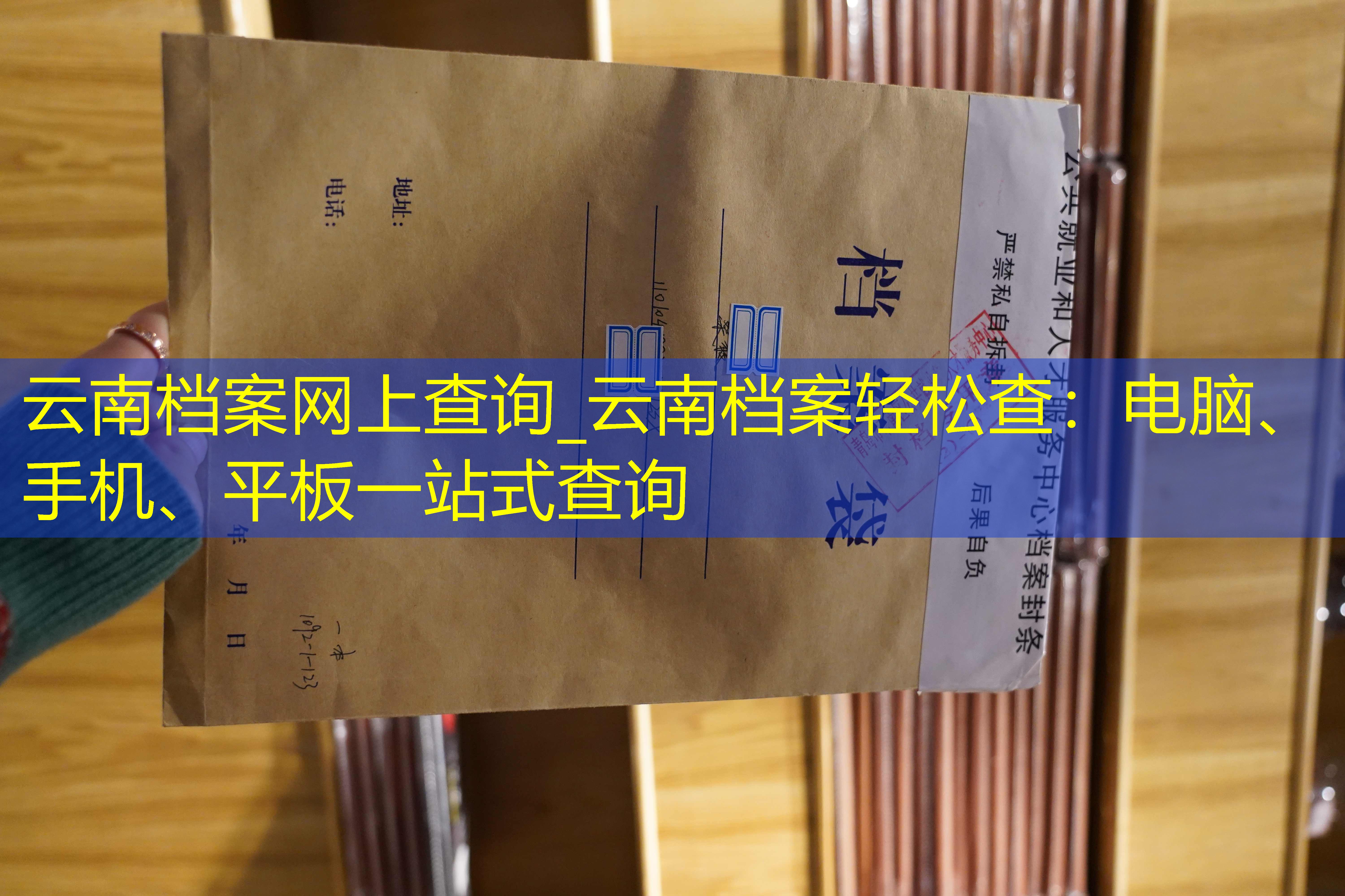 档案查询