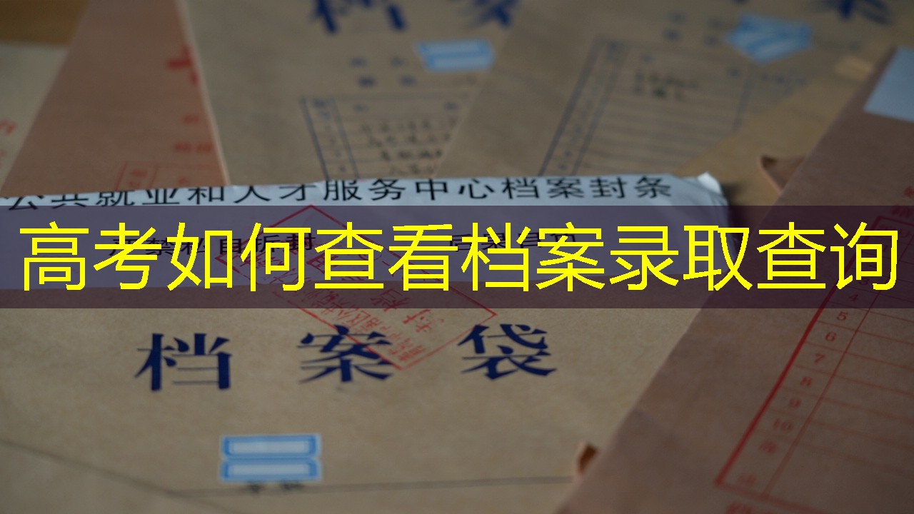 档案查询