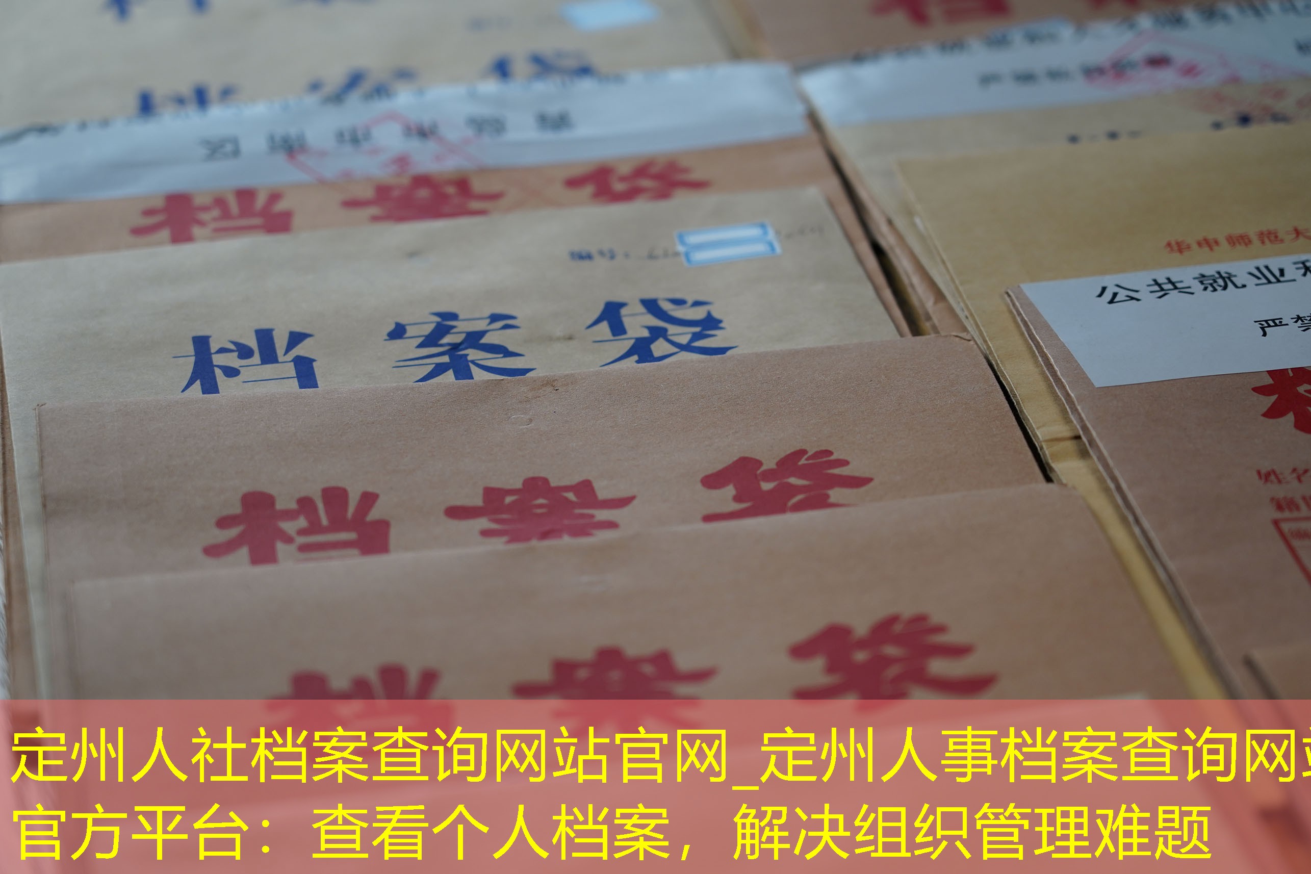 档案查询