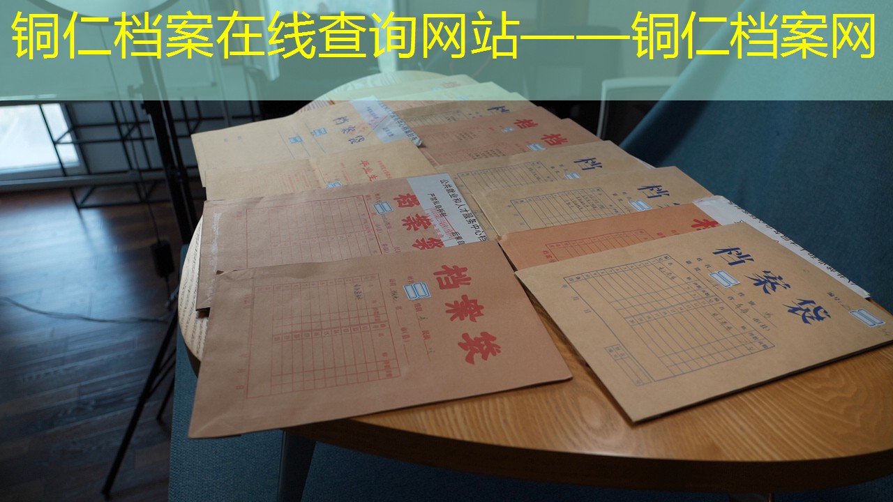 档案查询