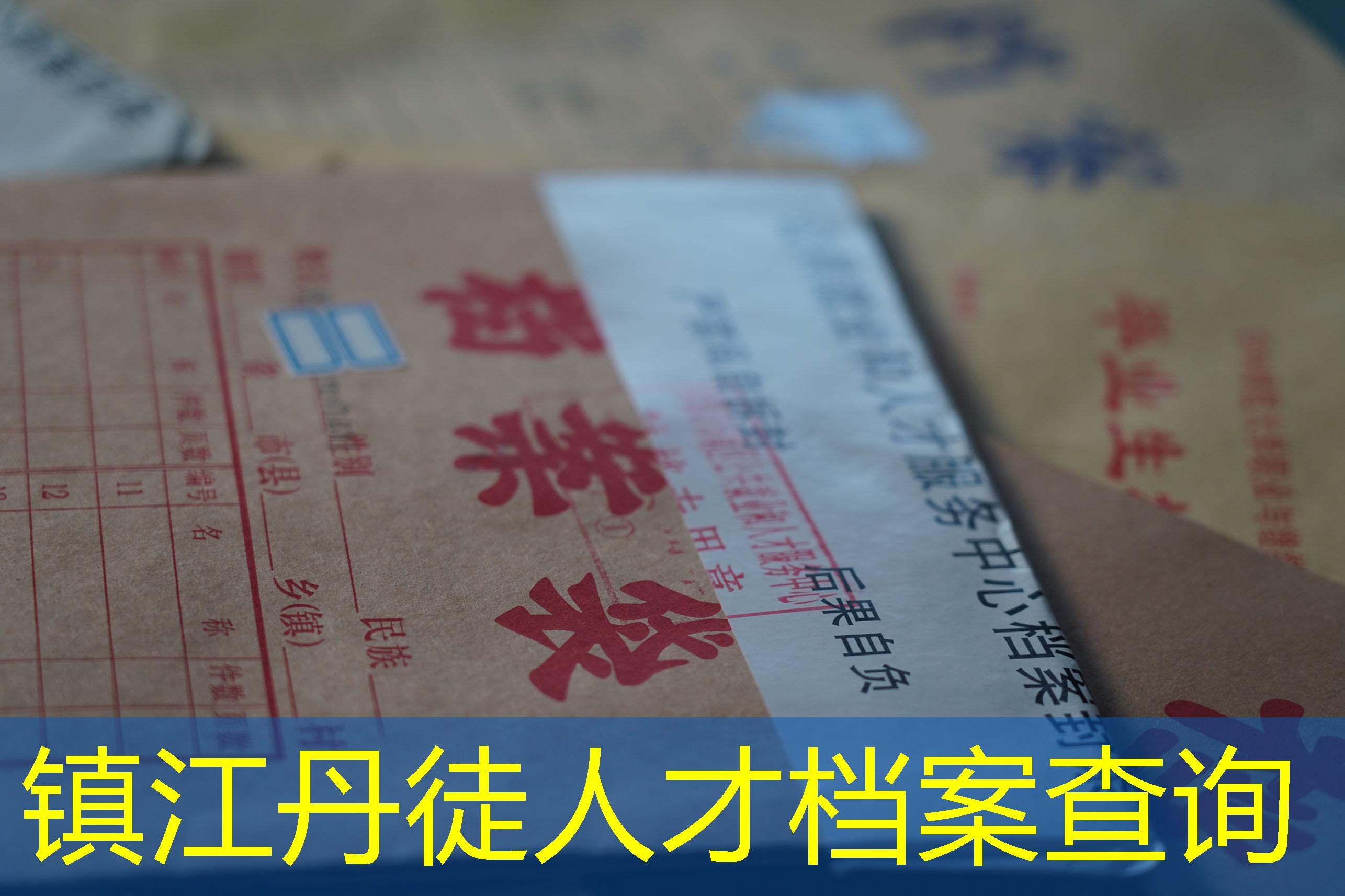 档案查询