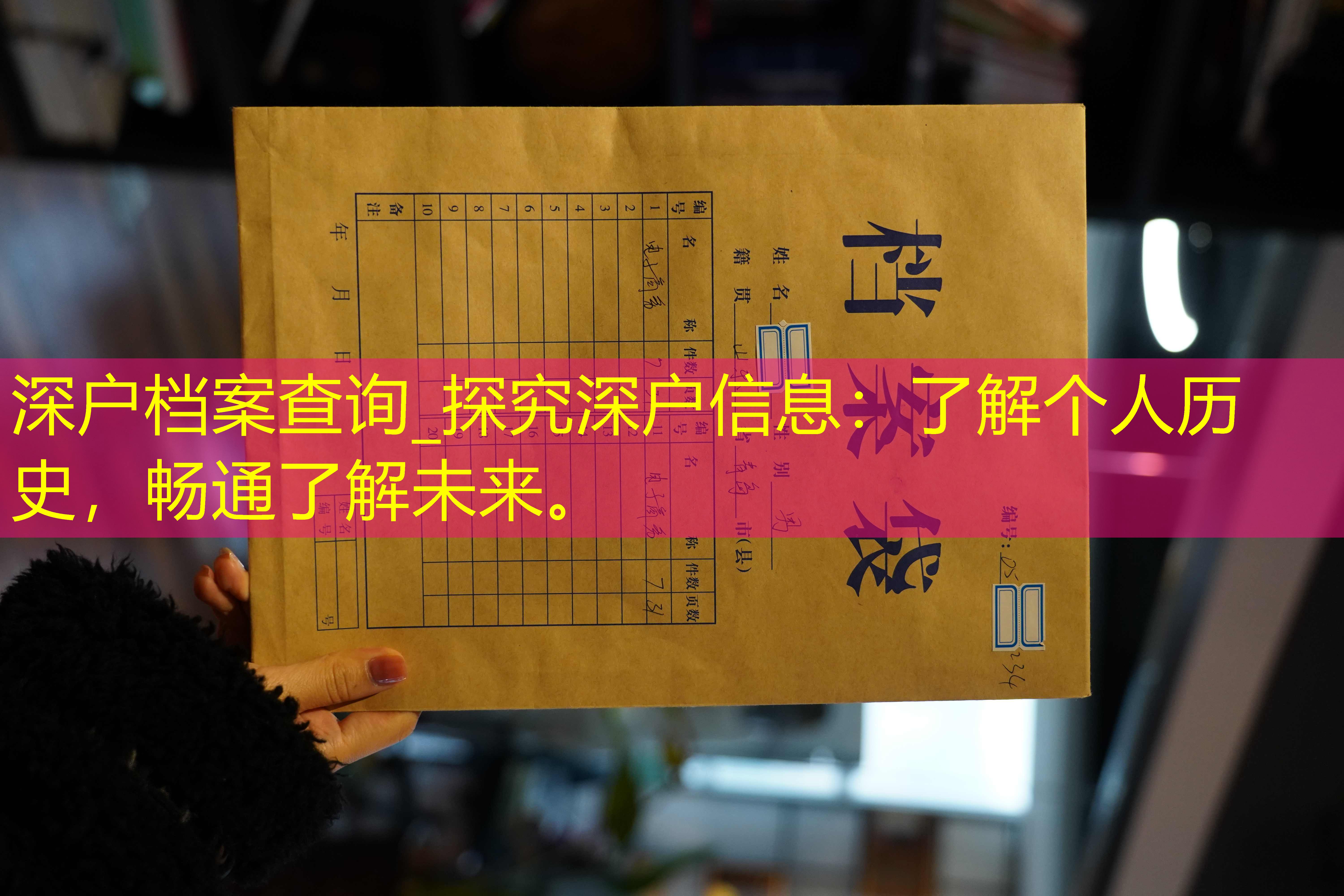 档案查询