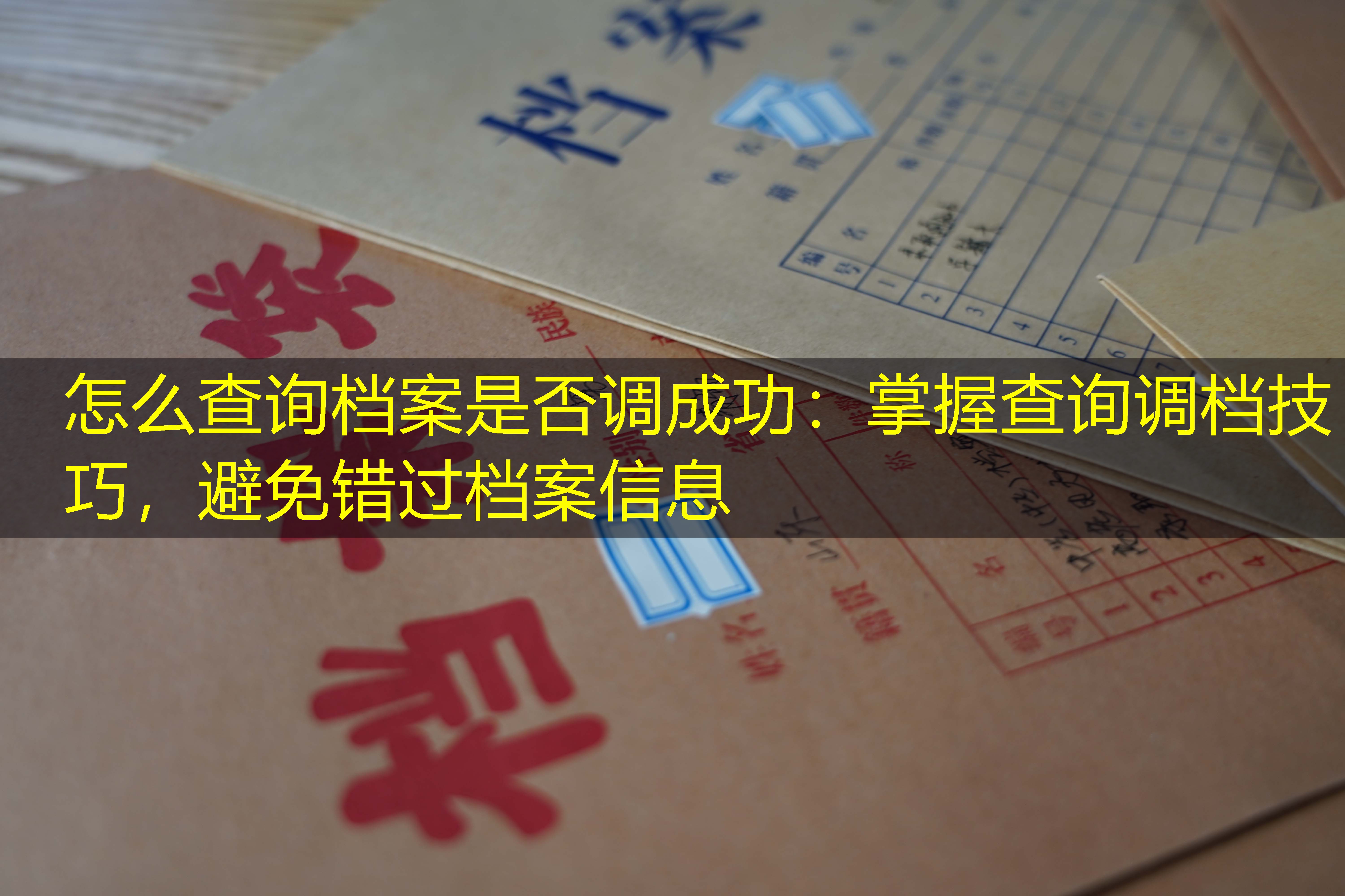 档案查询