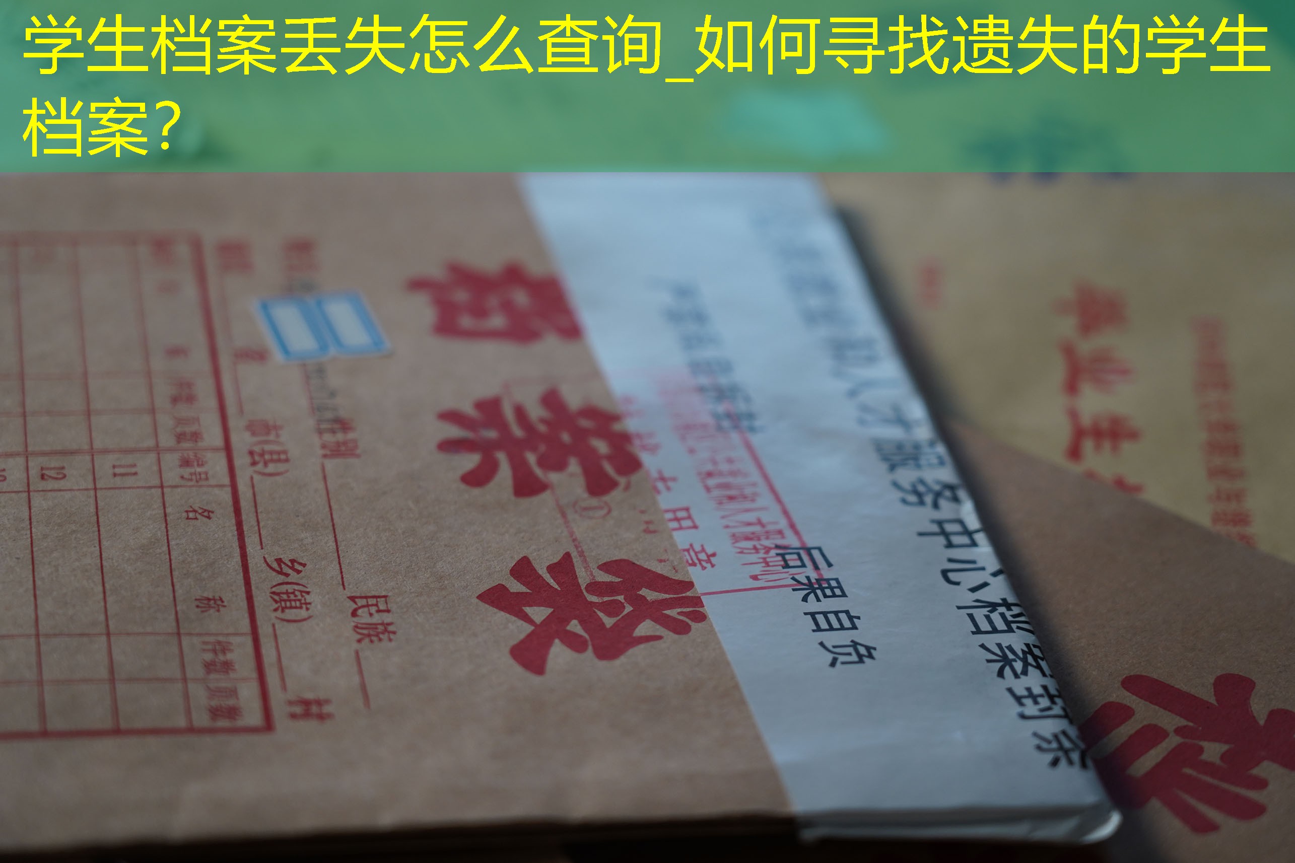 档案查询