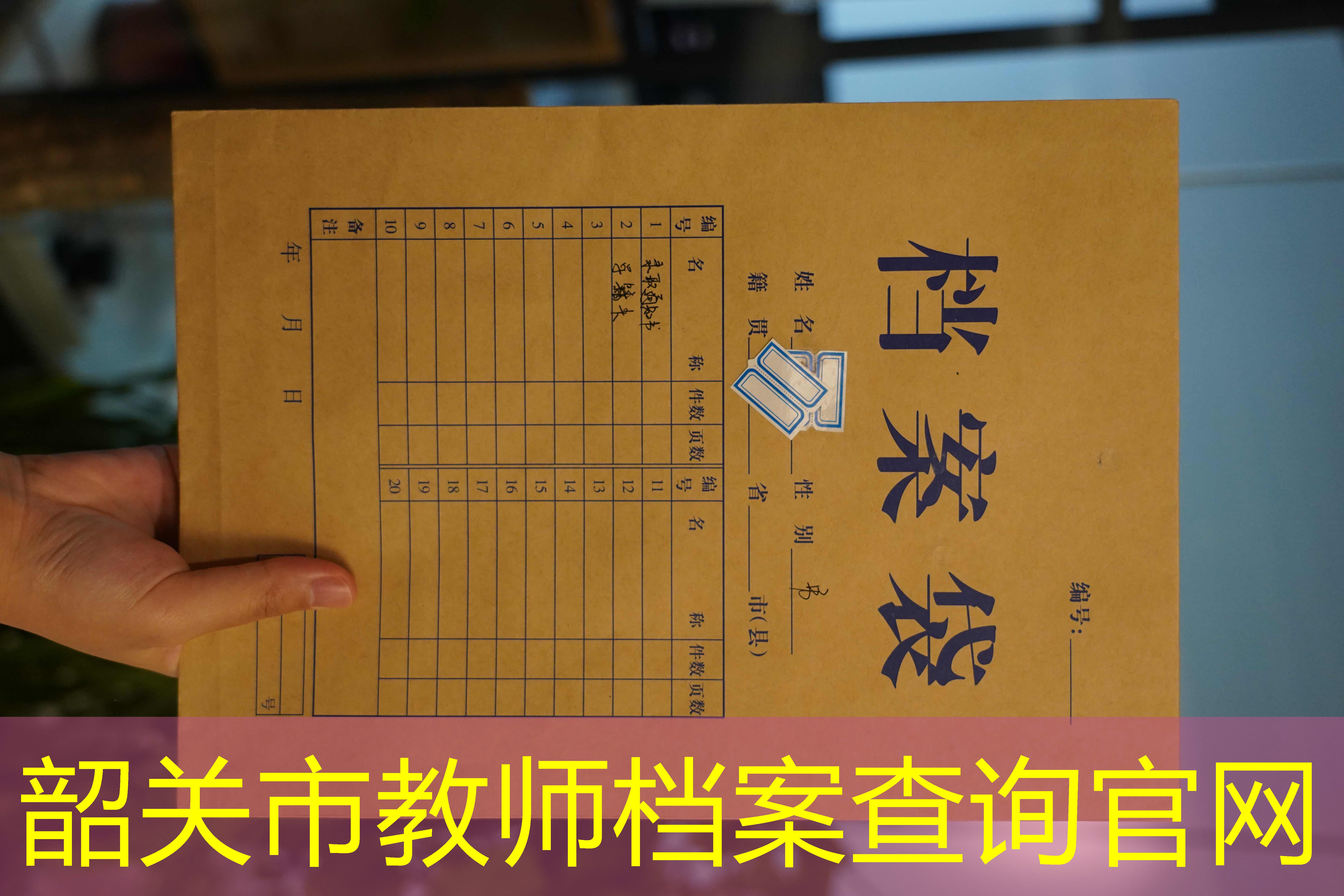 档案查询