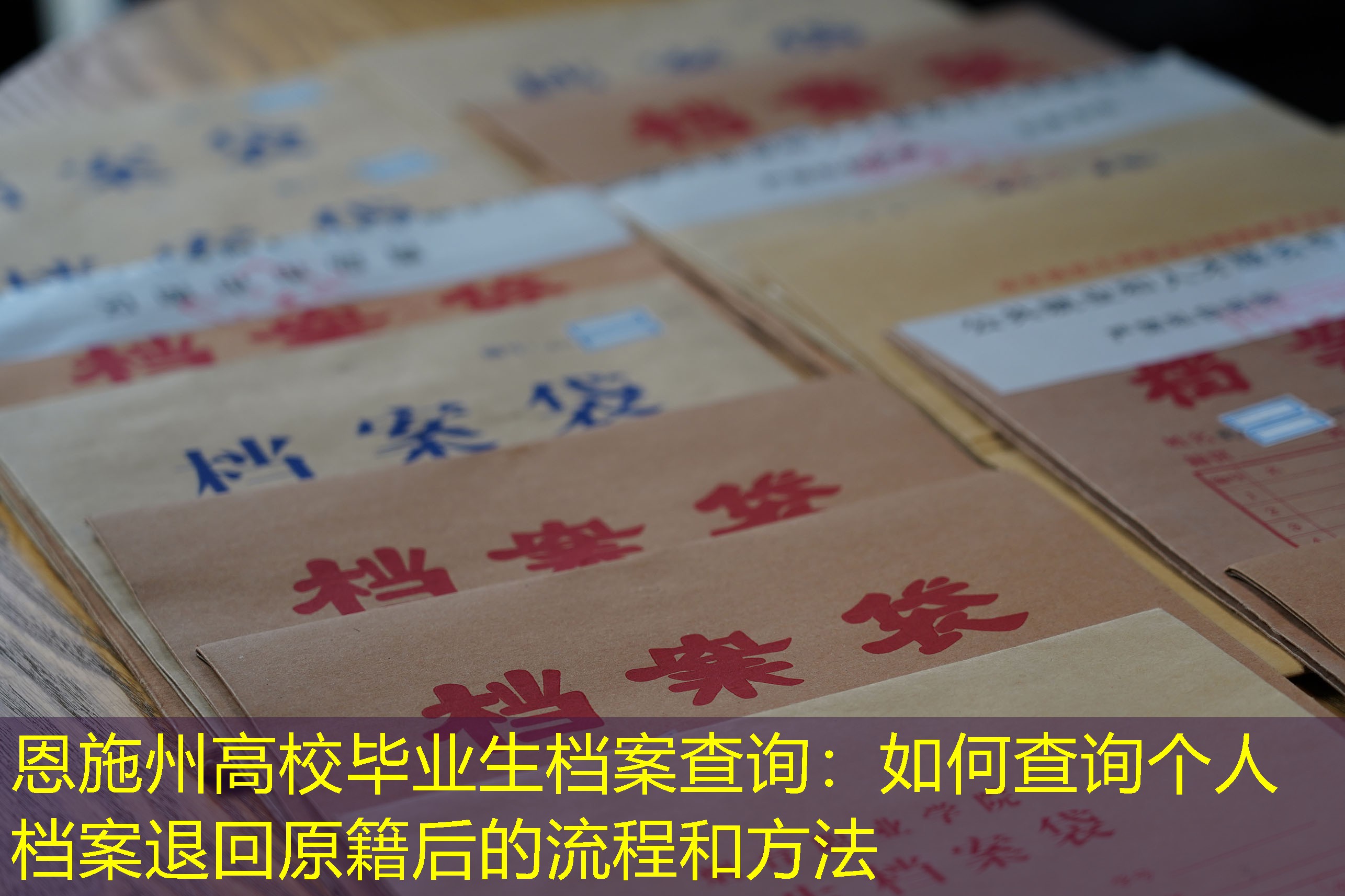 档案查询