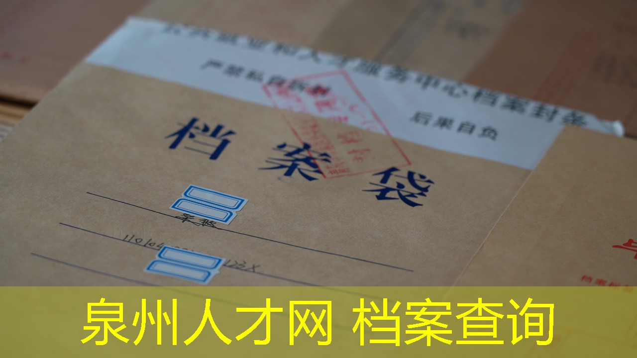 档案查询
