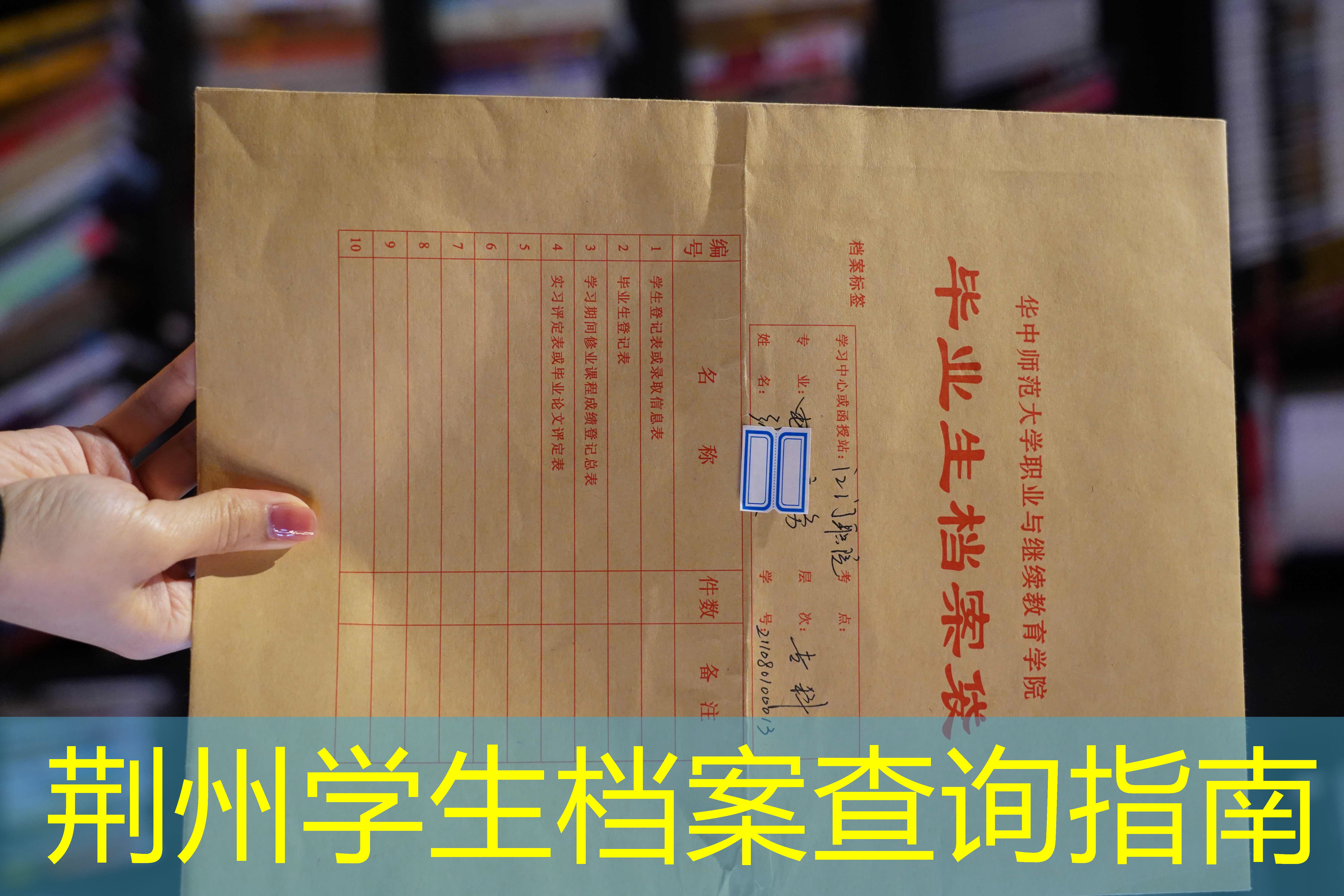 档案查询