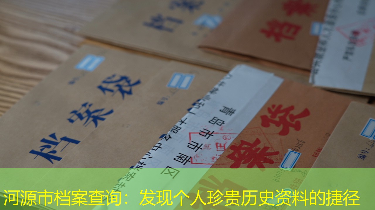 档案查询