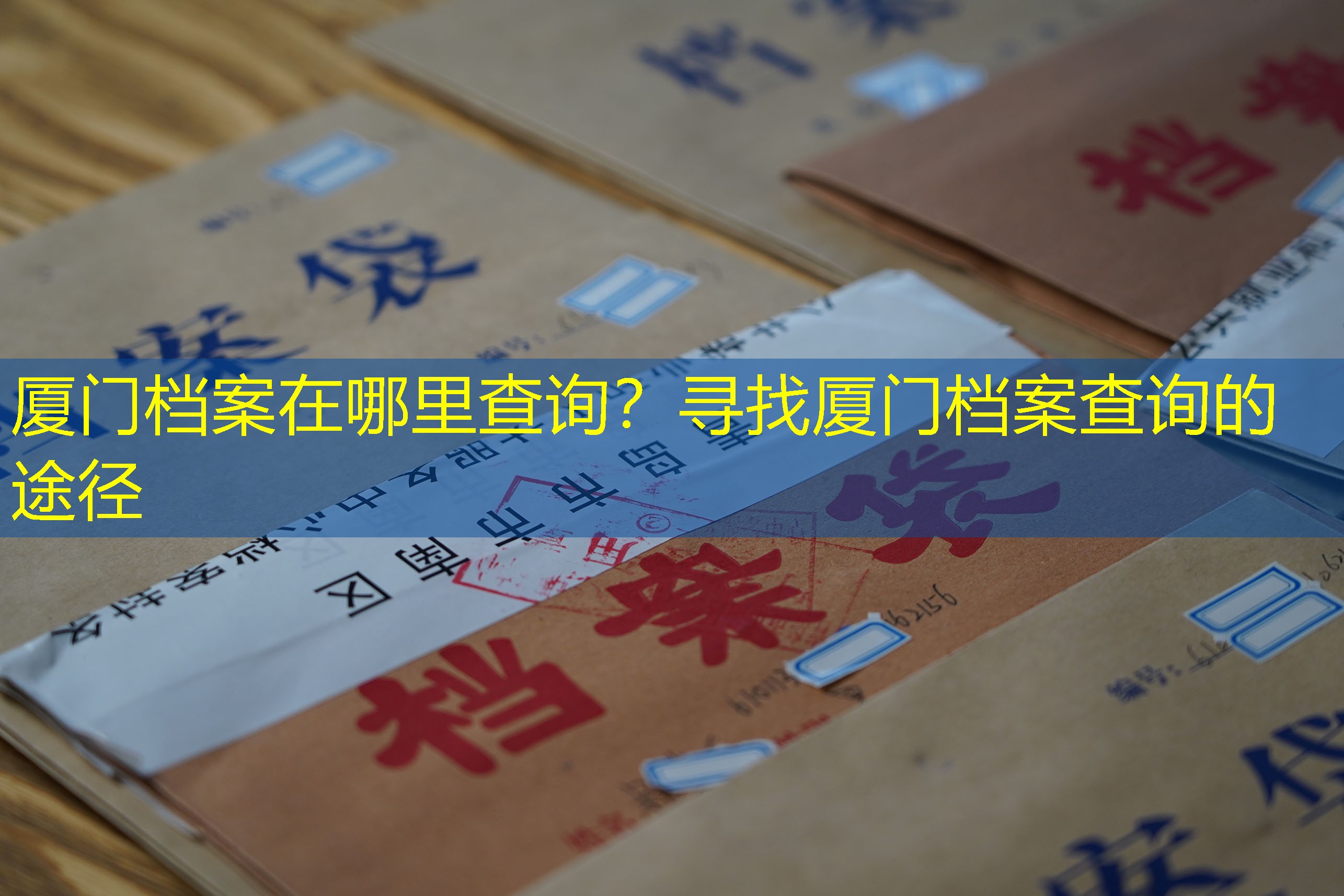 档案查询