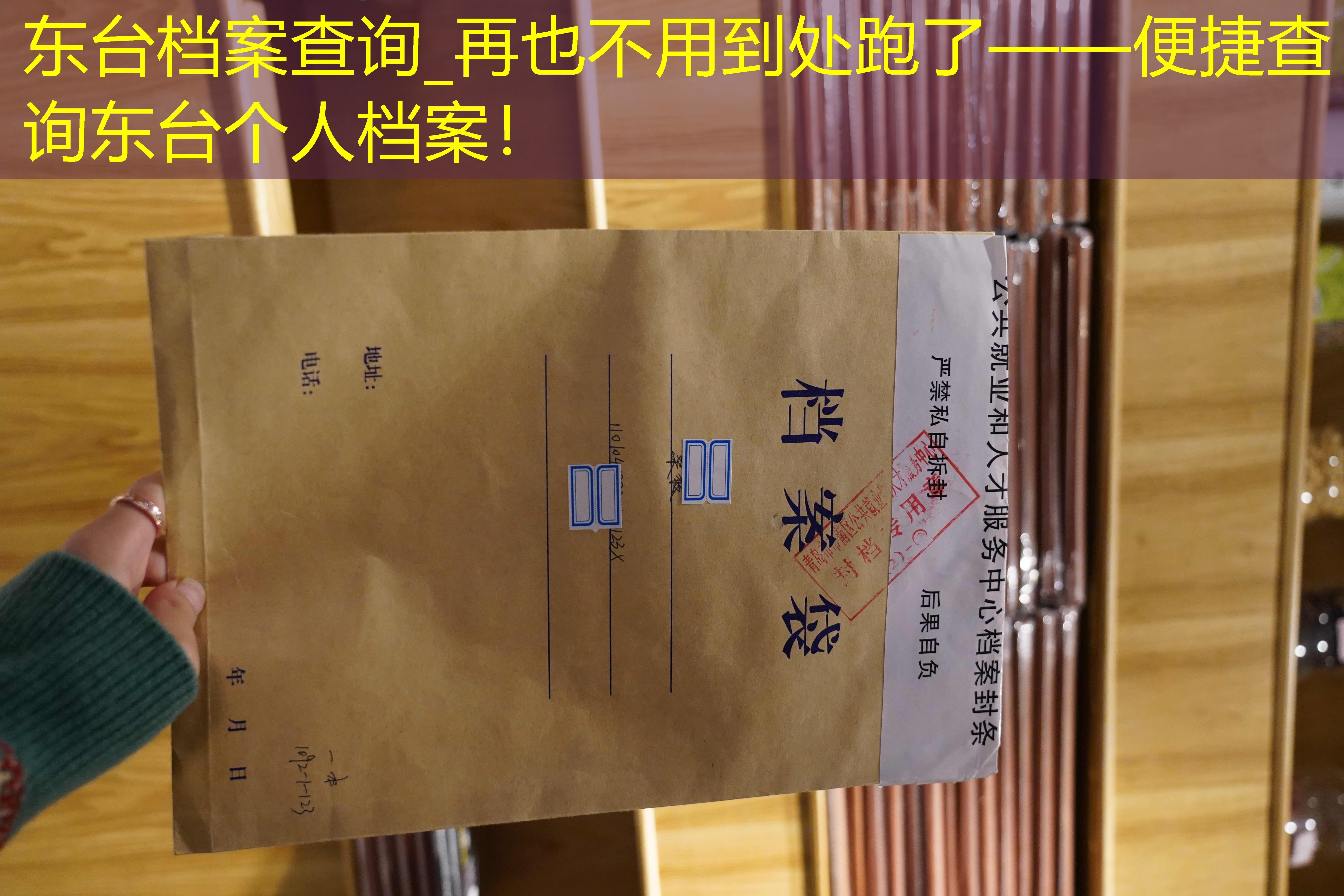 档案查询