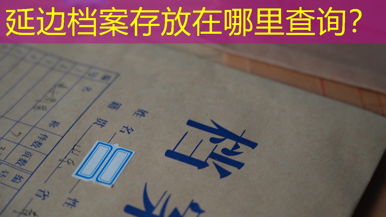 档案查询