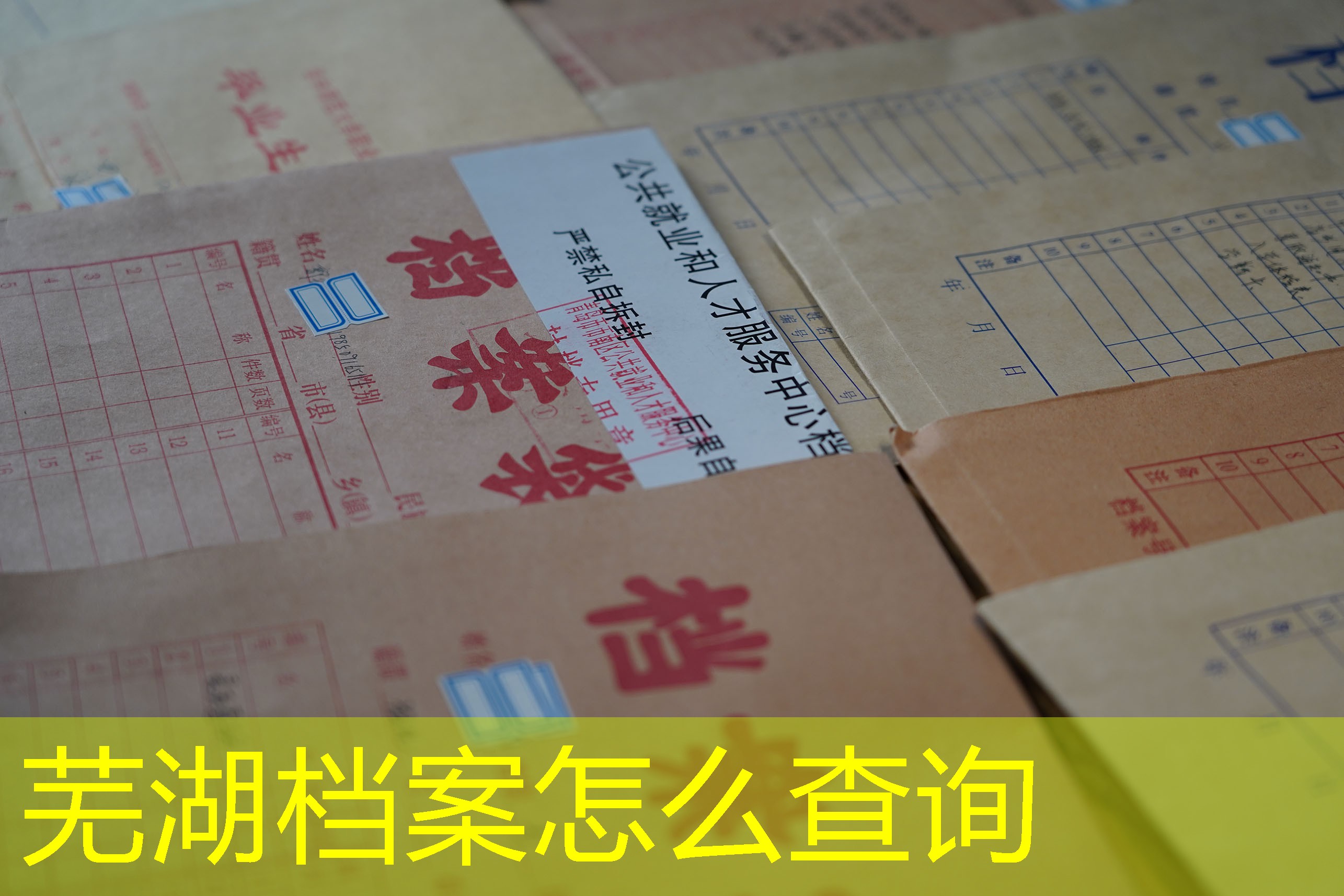 档案查询